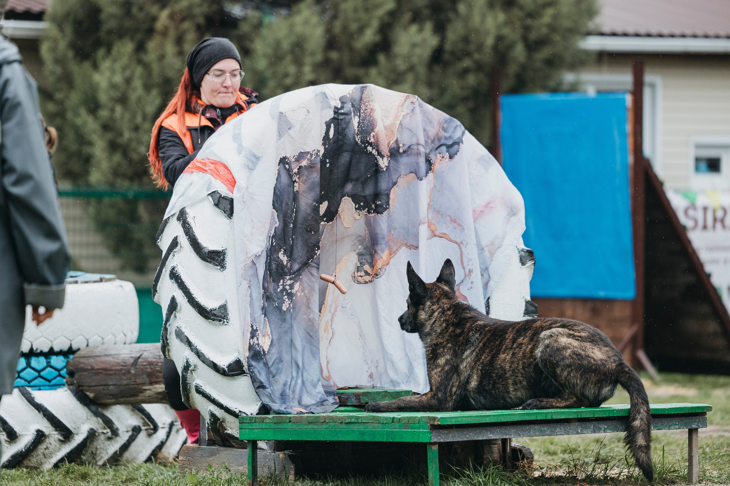 Геленджик Мондьоринг. Фотограф-анималист Анна Маринич