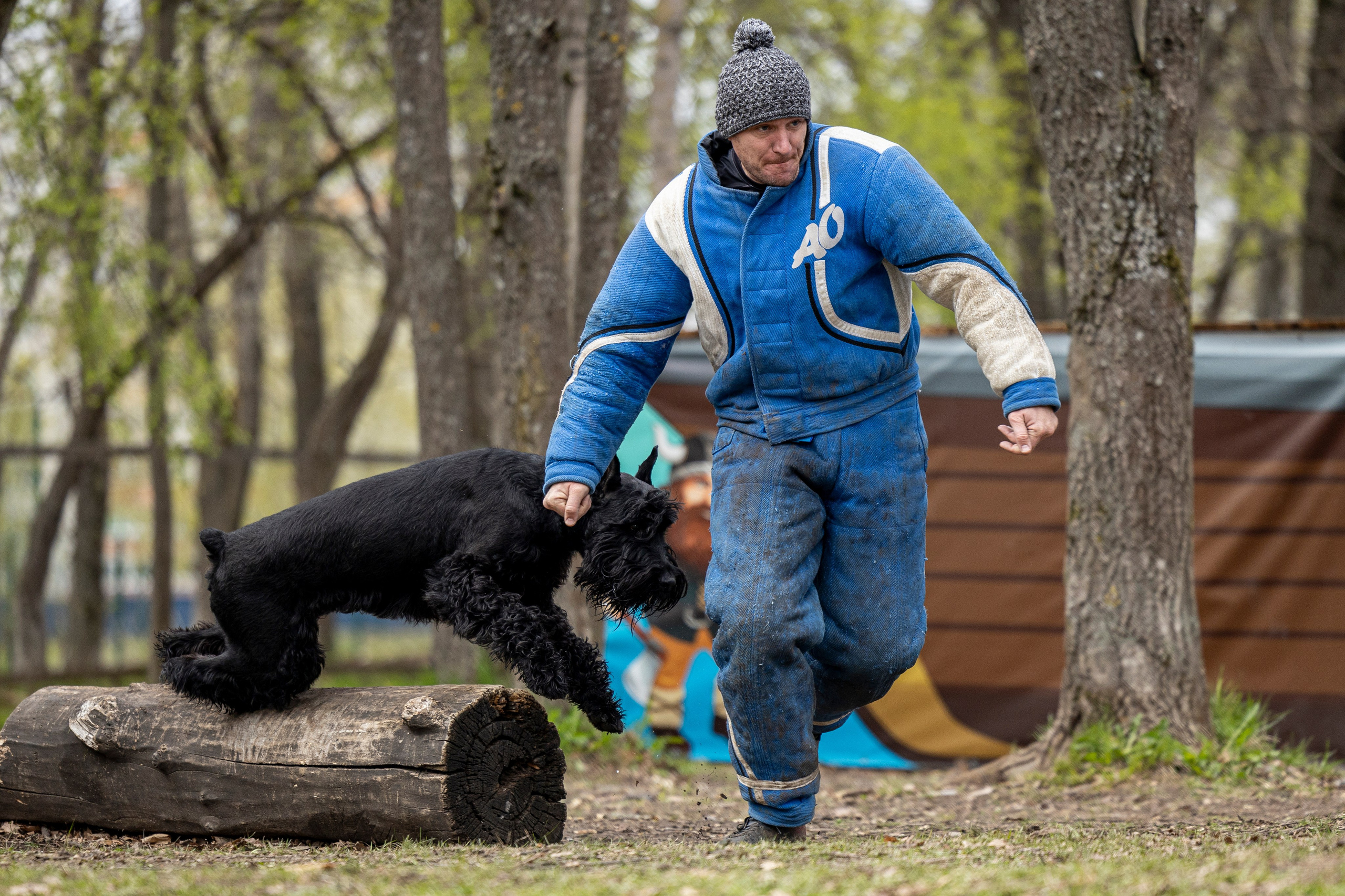 Квалификационные состязания по мондьорингу г. Вологда 11.05.24. Фотограф-анималист Анна Маринич