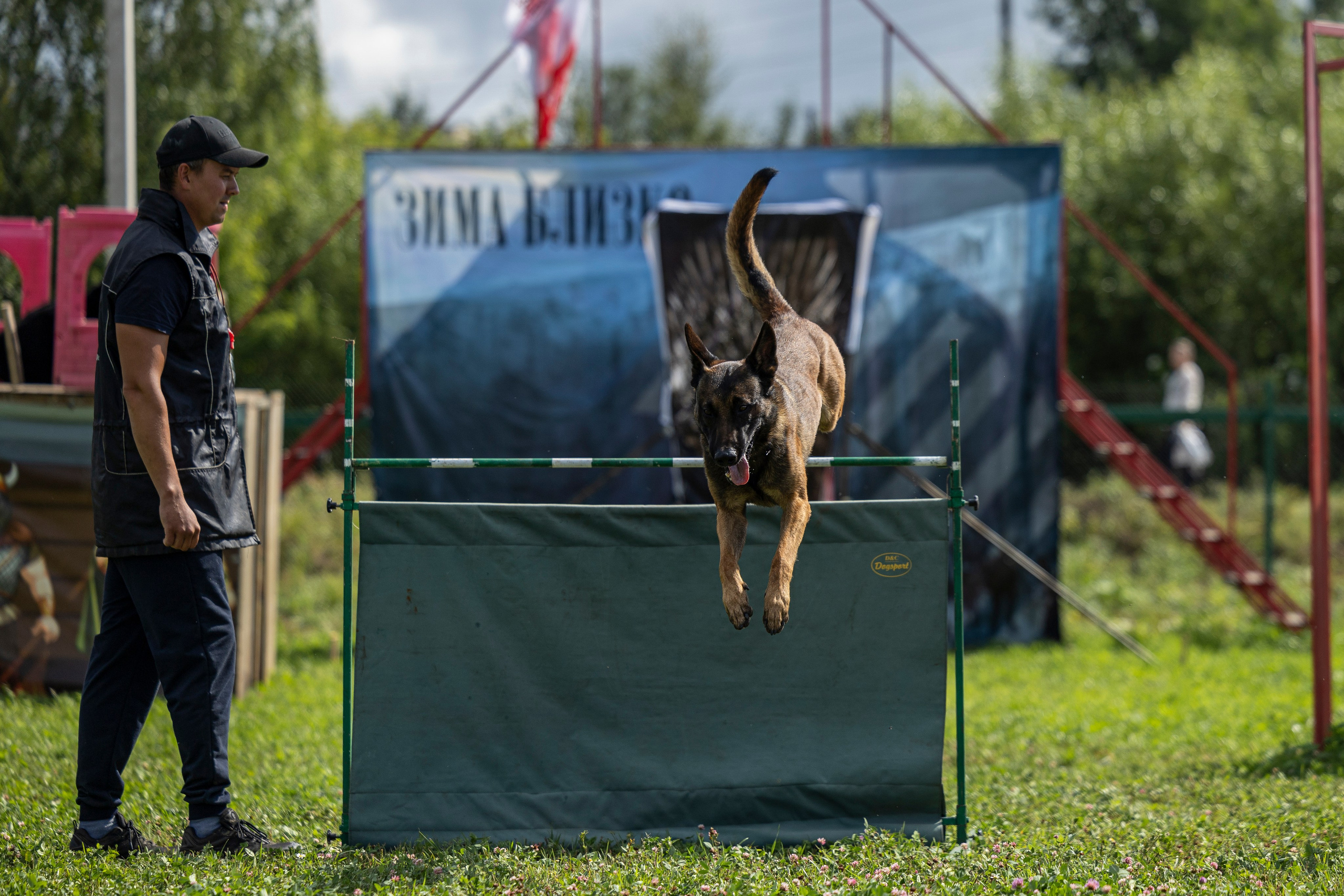 Соревнования по Мондьорингу г. Вологда 10-11.08.2024. Фотограф-анималист Анна Маринич