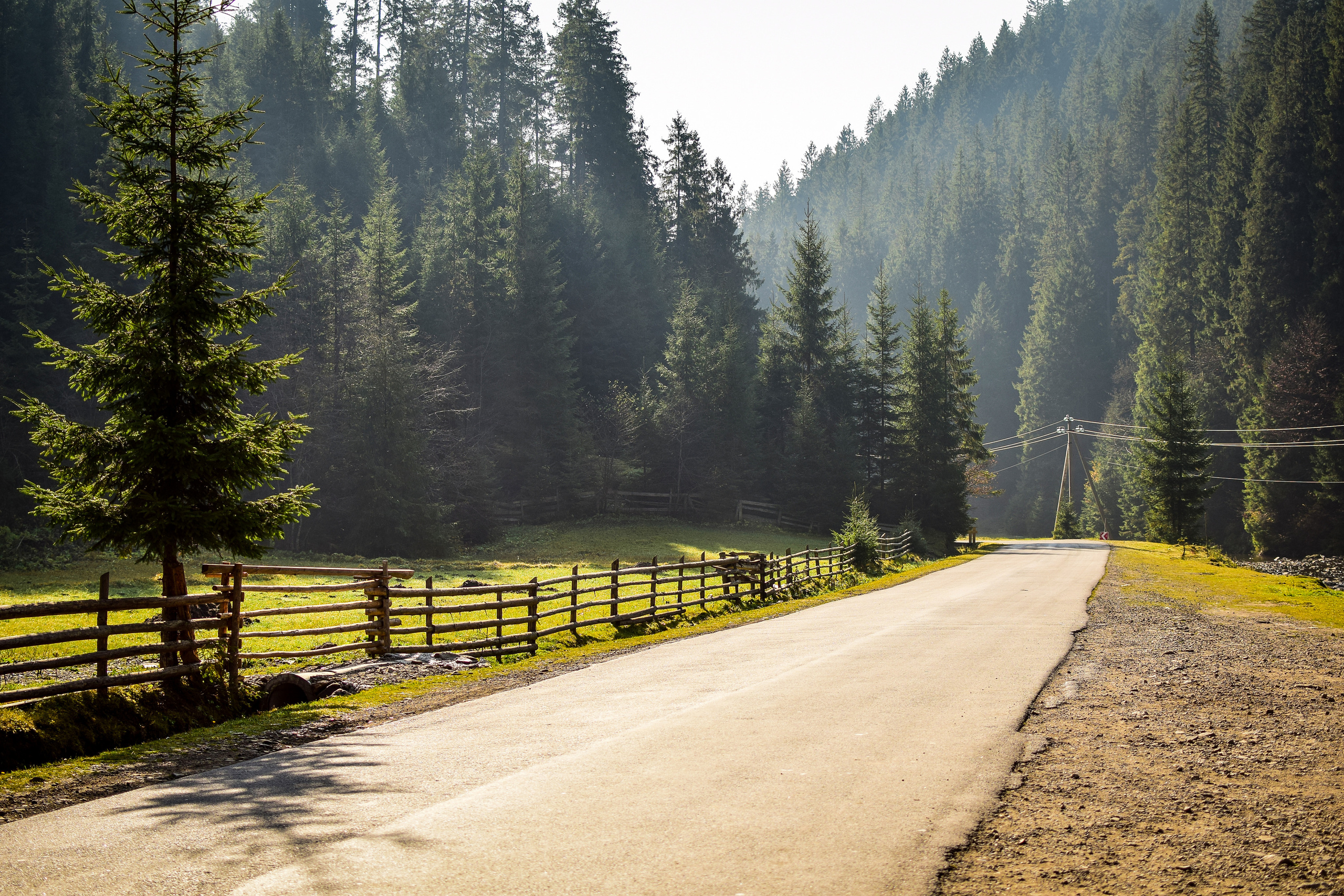 Природа. Семейный и свадебный фотограф в Донецке Донская Анастасия