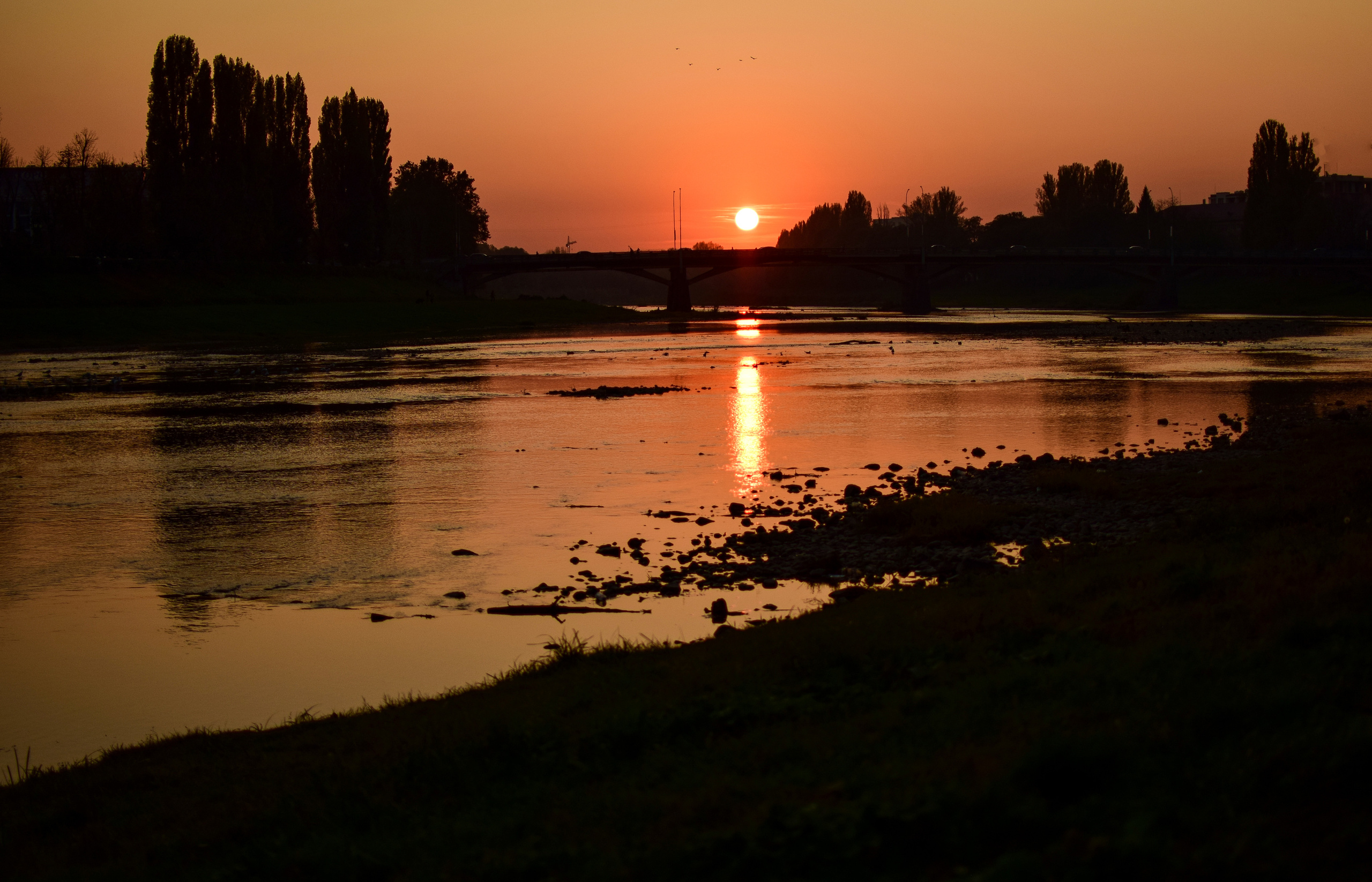 Природа. Семейный и свадебный фотограф в Донецке Донская Анастасия