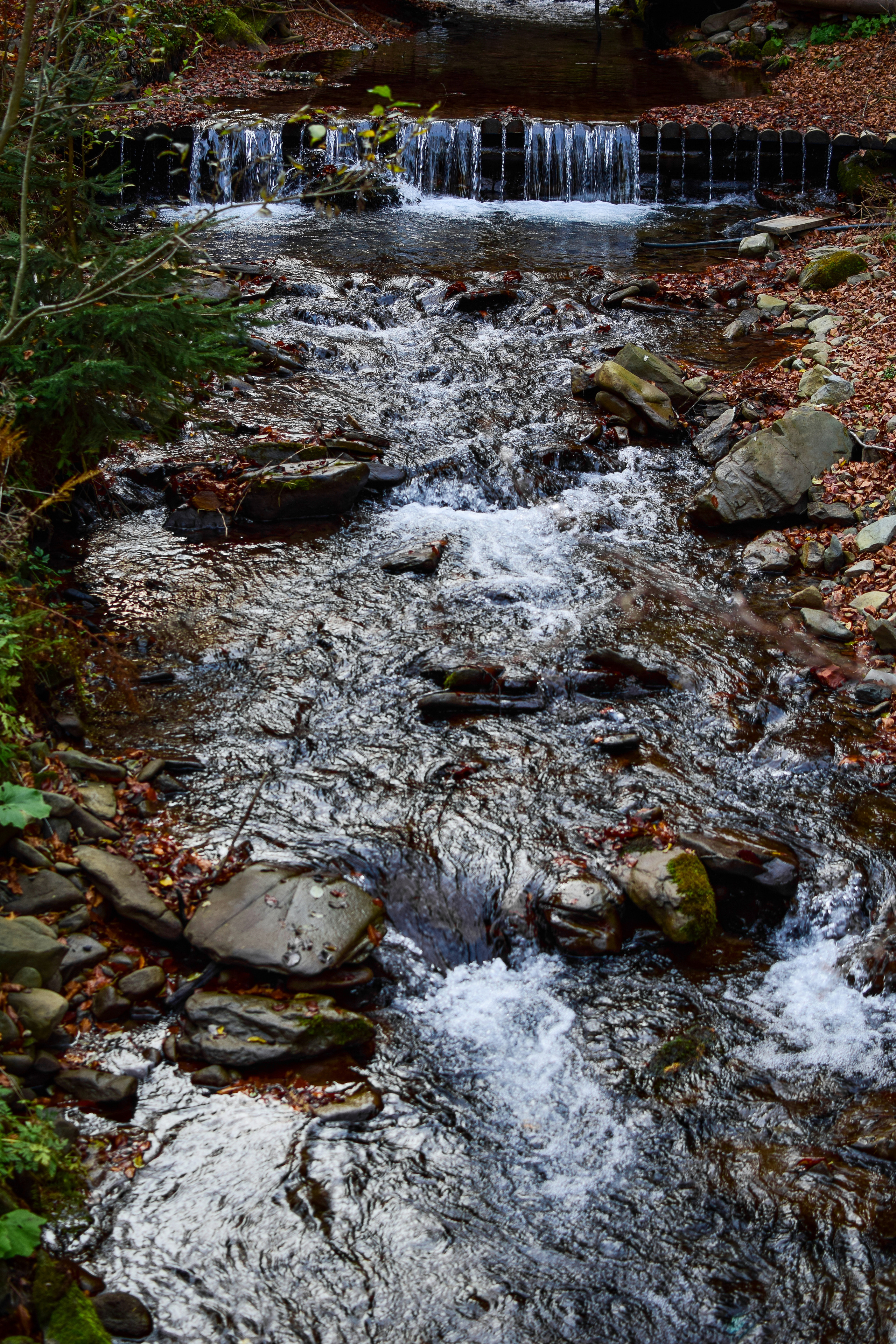 Природа. Семейный и свадебный фотограф в Донецке Донская Анастасия