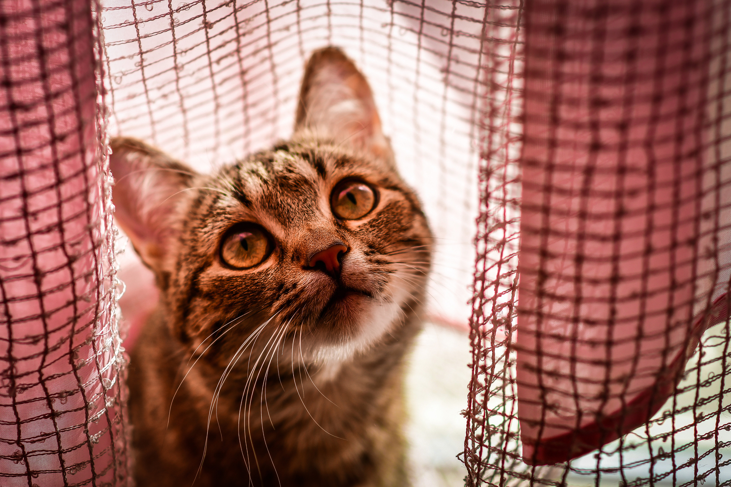 Природа. Семейный и свадебный фотограф в Донецке Донская Анастасия