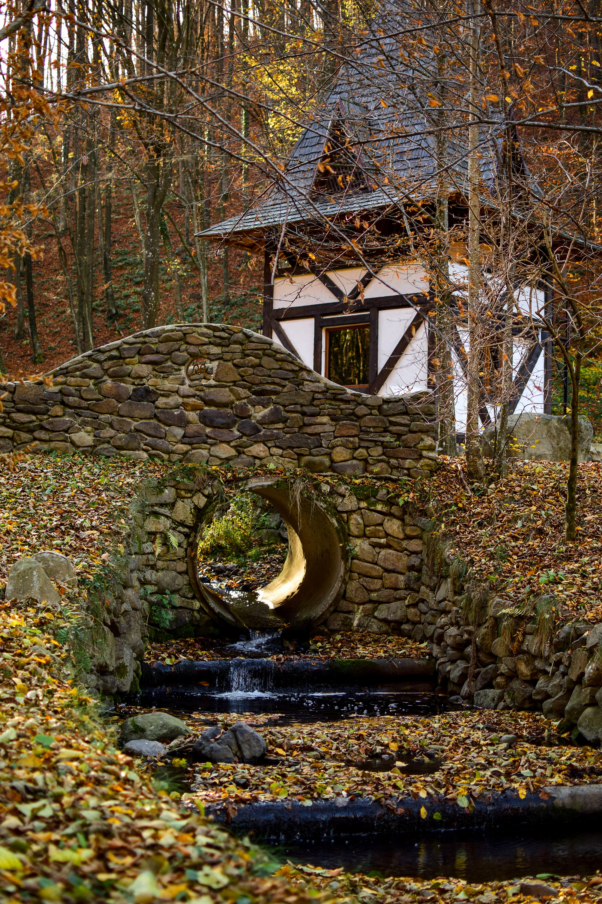 Природа. Семейный и свадебный фотограф в Донецке Донская Анастасия