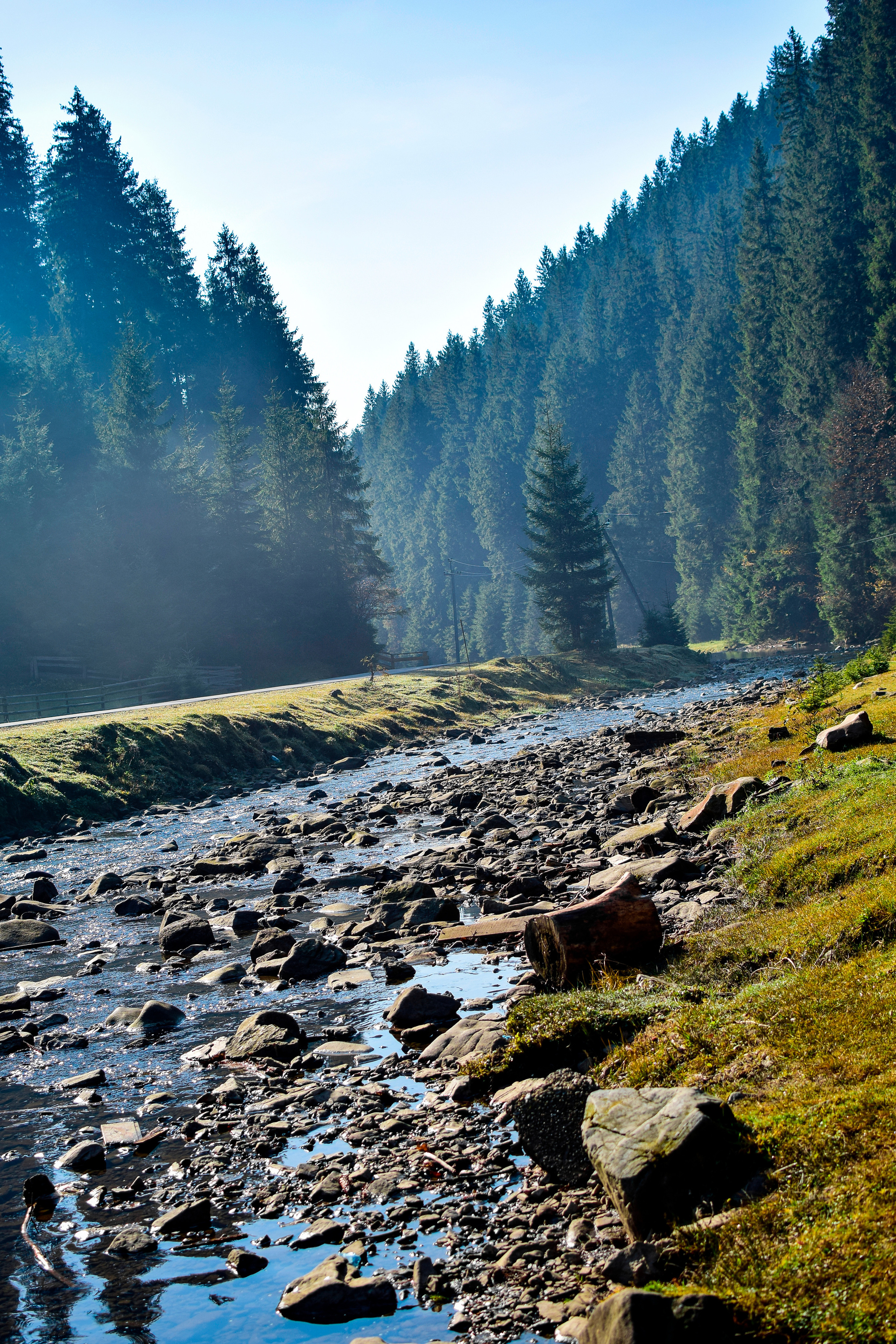 Природа. Семейный и свадебный фотограф в Донецке Донская Анастасия