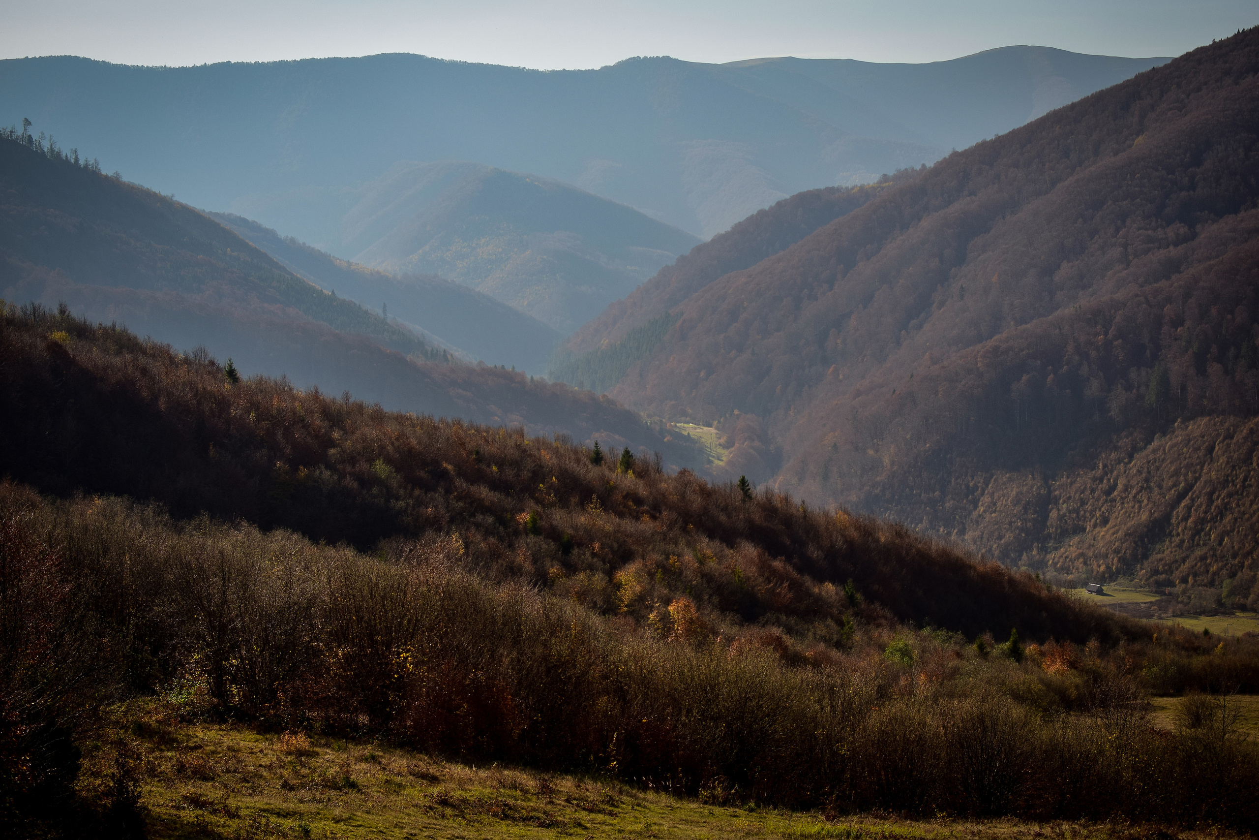 Природа. Семейный и свадебный фотограф в Донецке Донская Анастасия