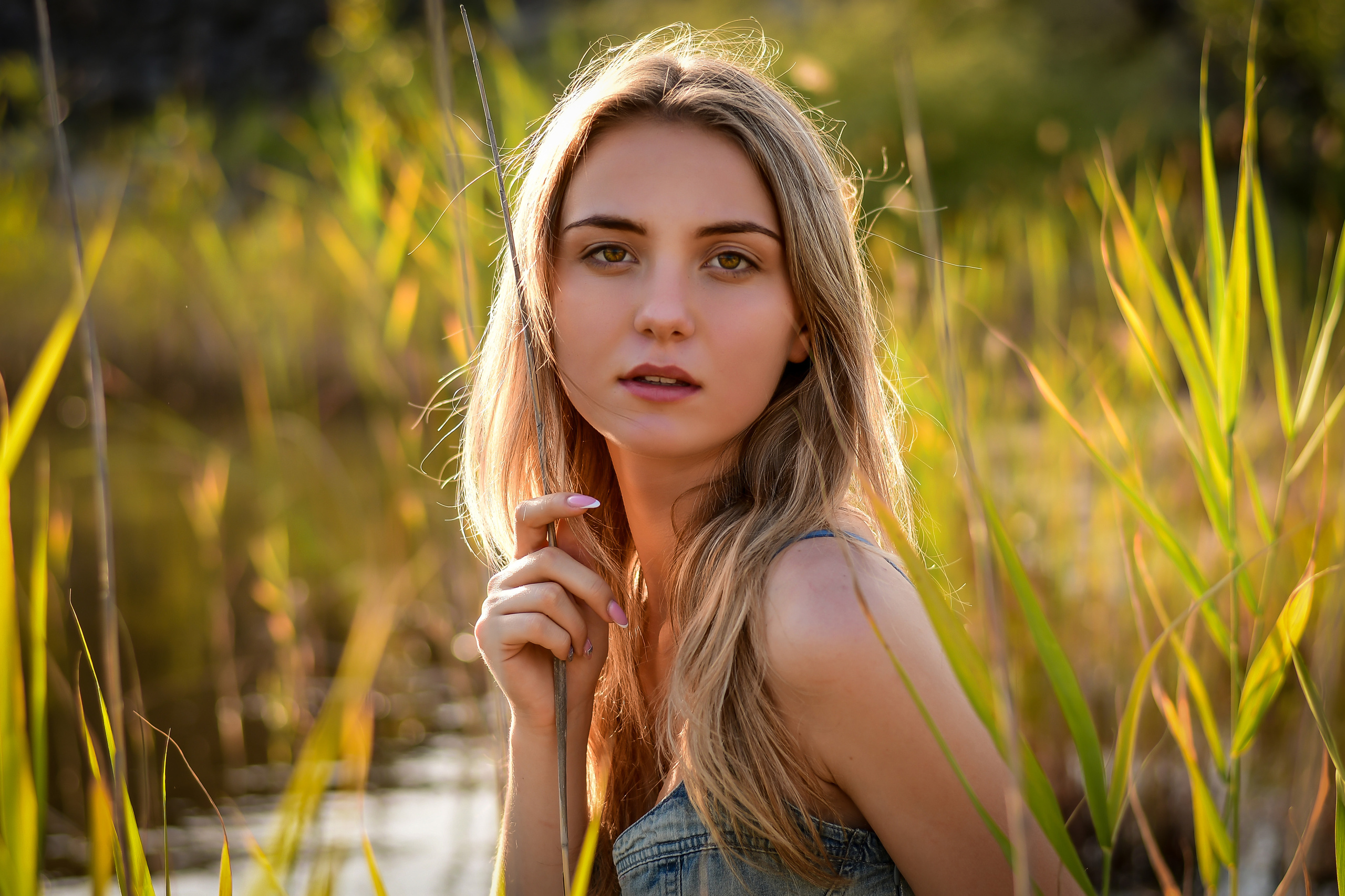 Лето. Семейный и свадебный фотограф в Донецке Донская Анастасия