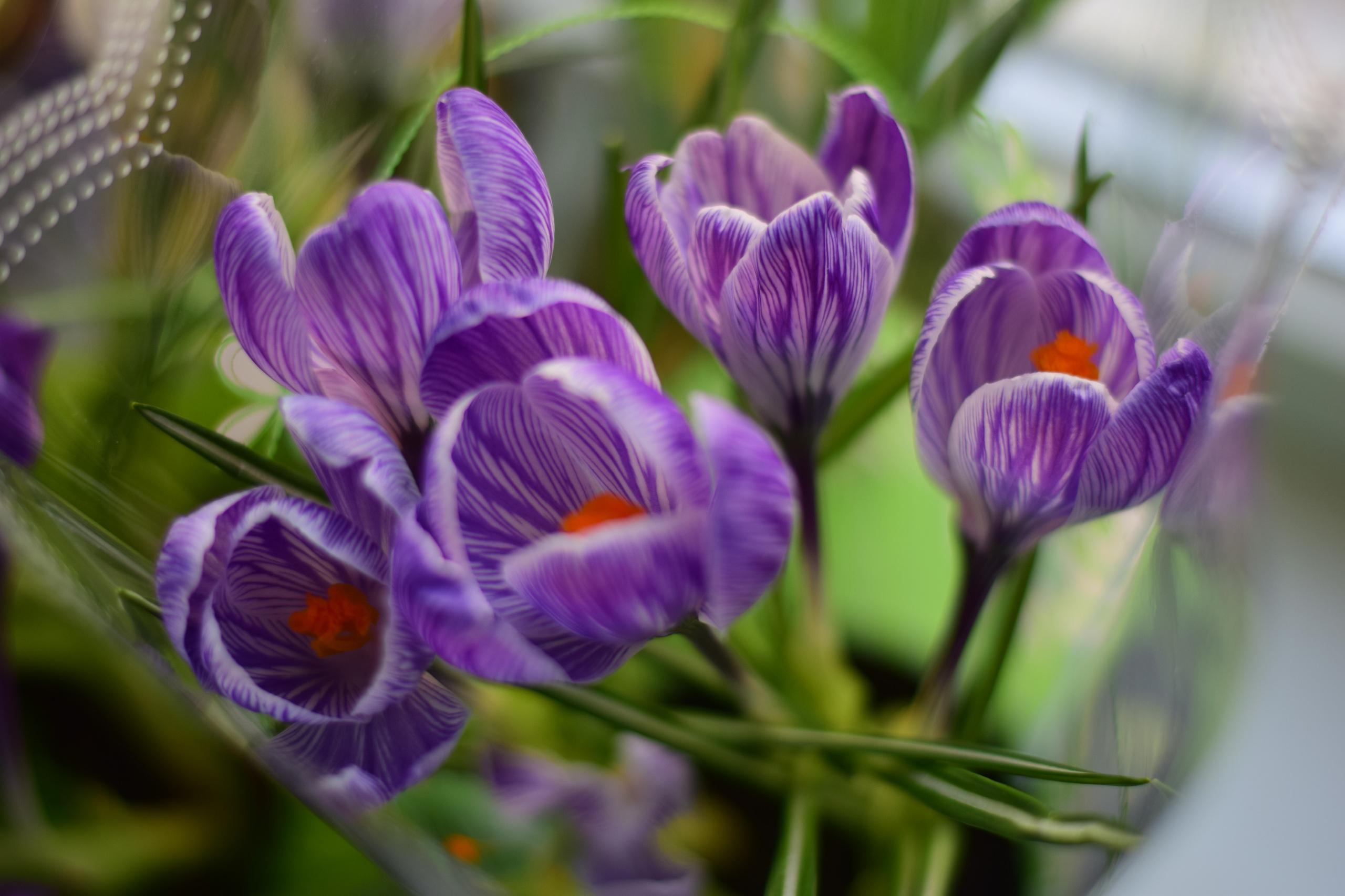 Природа. Семейный и свадебный фотограф в Донецке Донская Анастасия