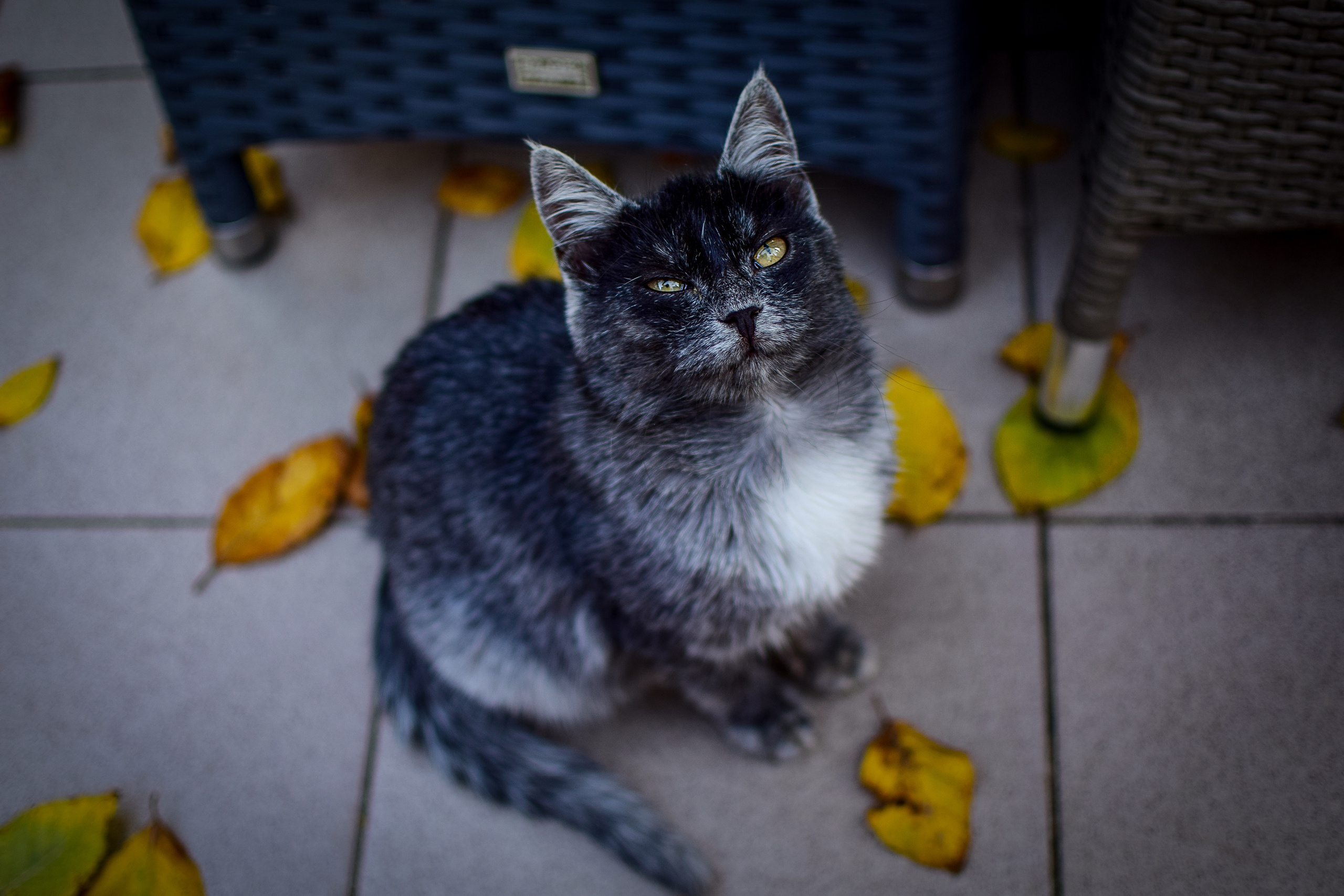 Природа. Семейный и свадебный фотограф в Донецке Донская Анастасия