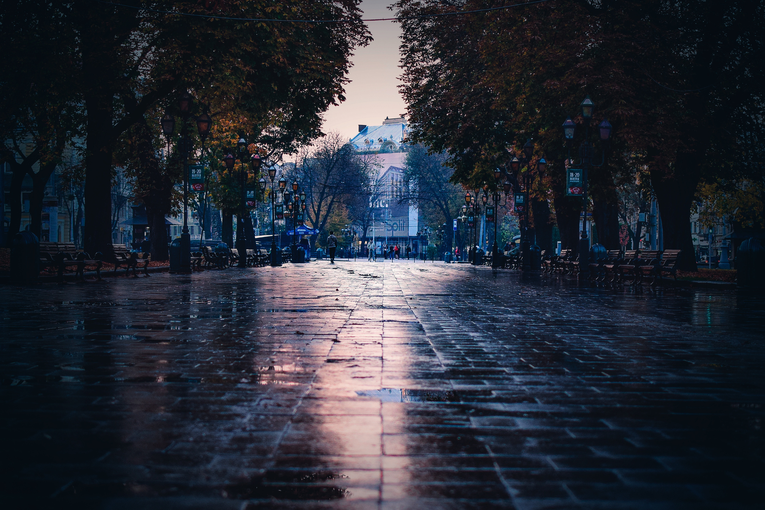 Природа. Семейный и свадебный фотограф в Донецке Донская Анастасия