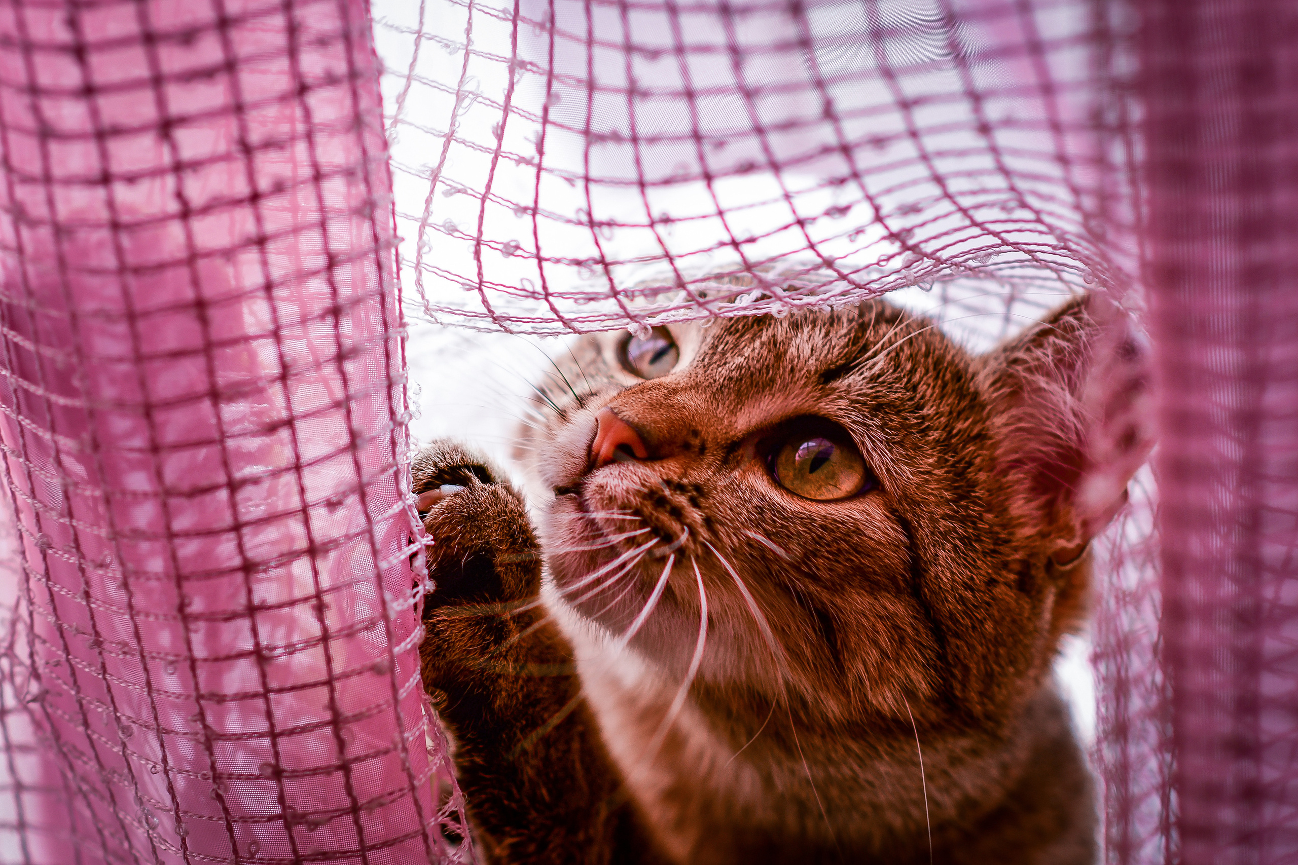 Природа. Семейный и свадебный фотограф в Донецке Донская Анастасия