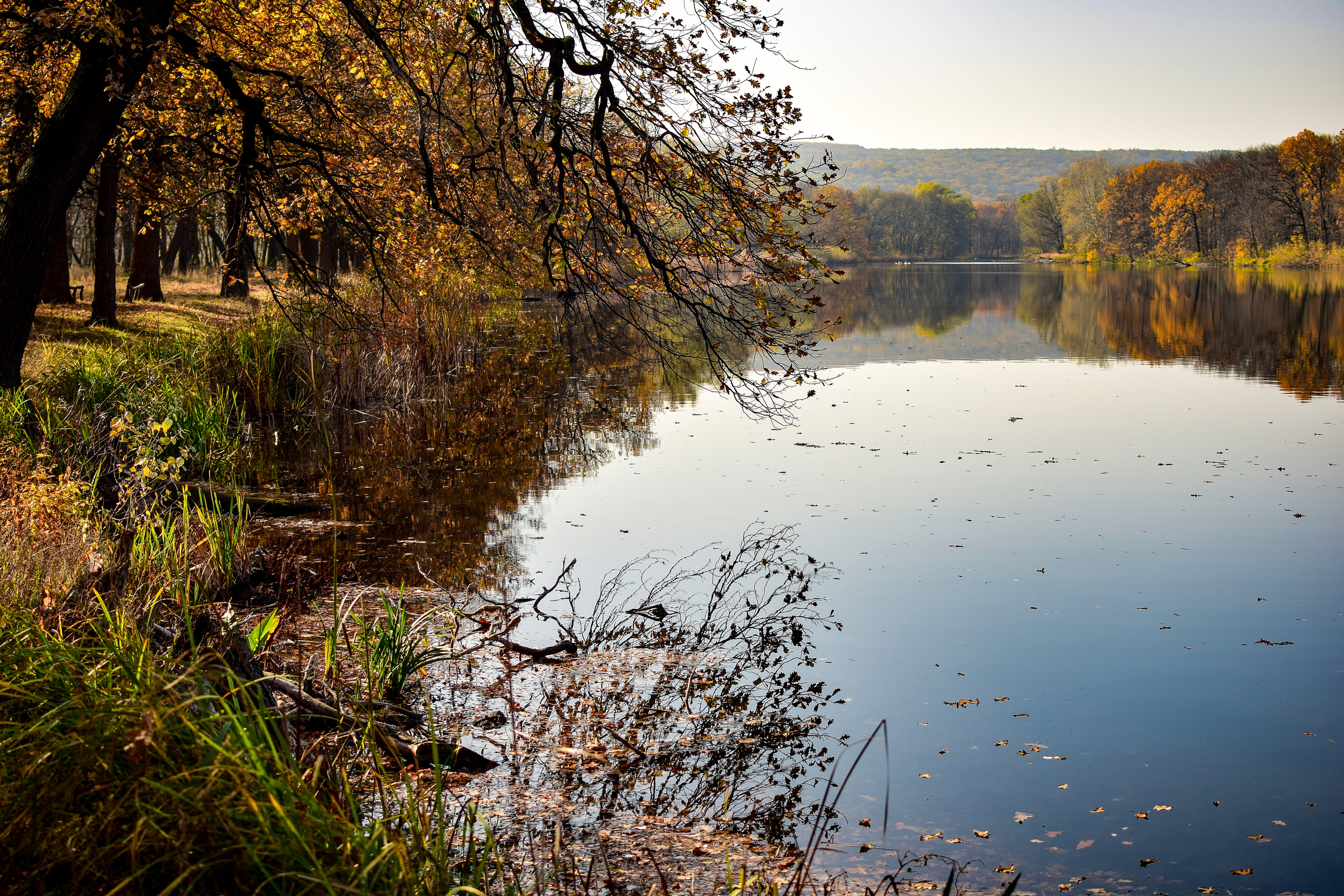 Природа. Семейный и свадебный фотограф в Донецке Донская Анастасия