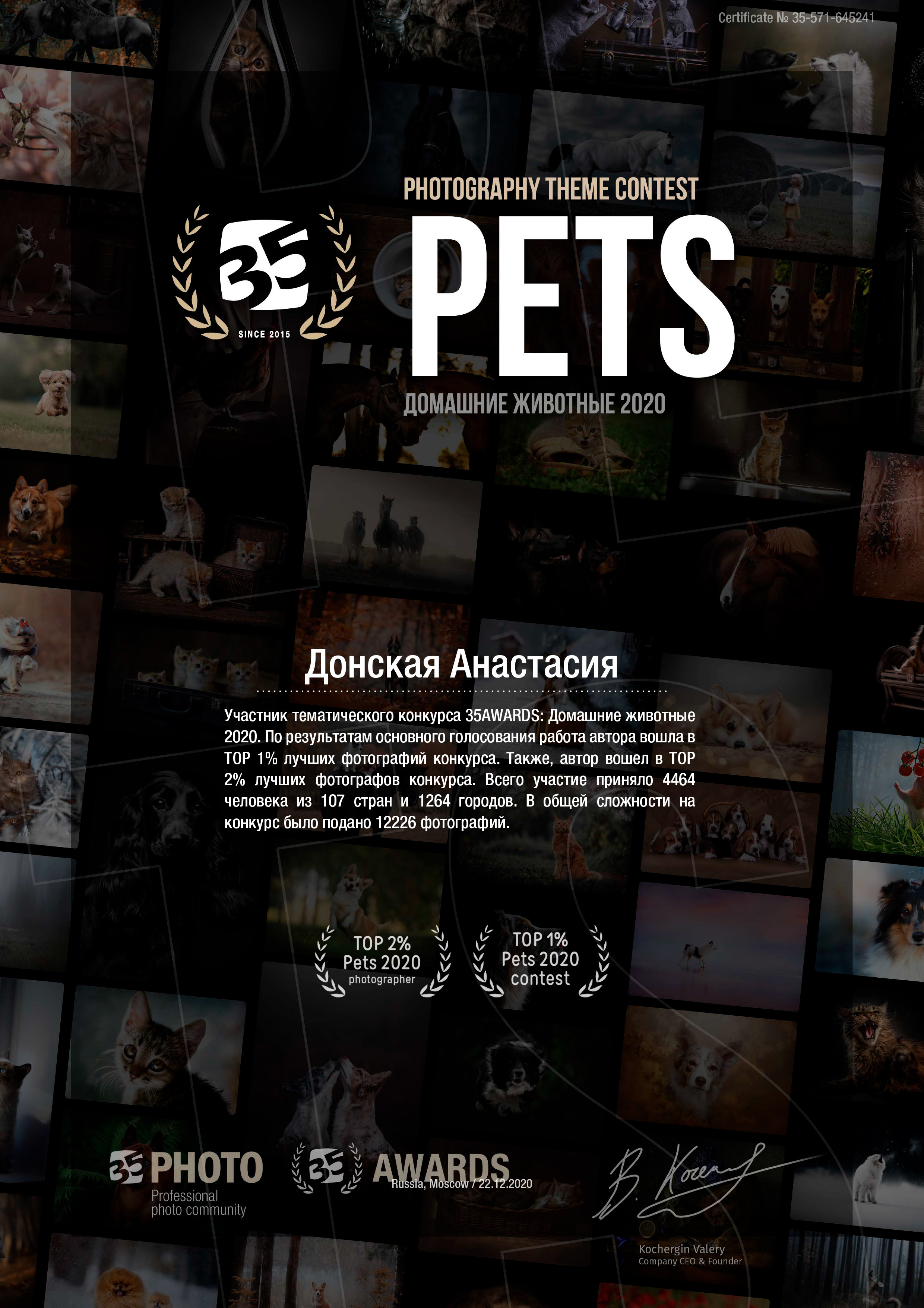 Знакомство. Семейный и свадебный фотограф в Донецке Донская Анастасия