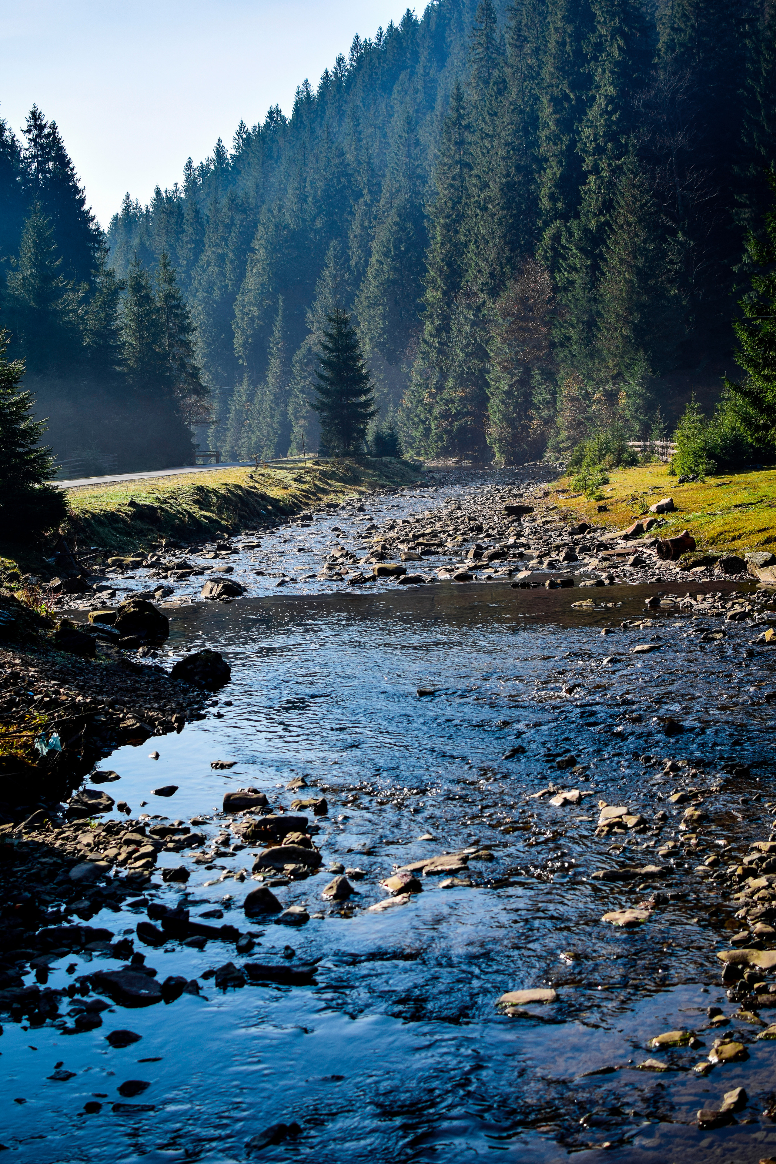Природа. Семейный и свадебный фотограф в Донецке Донская Анастасия