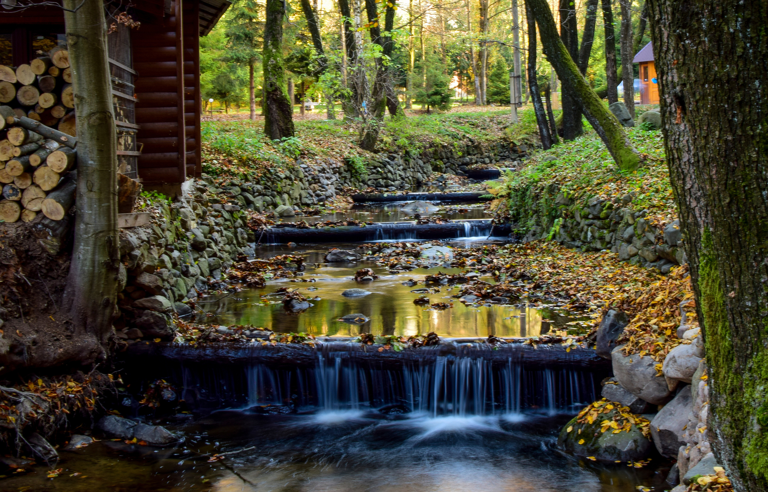 Природа. Семейный и свадебный фотограф в Донецке Донская Анастасия