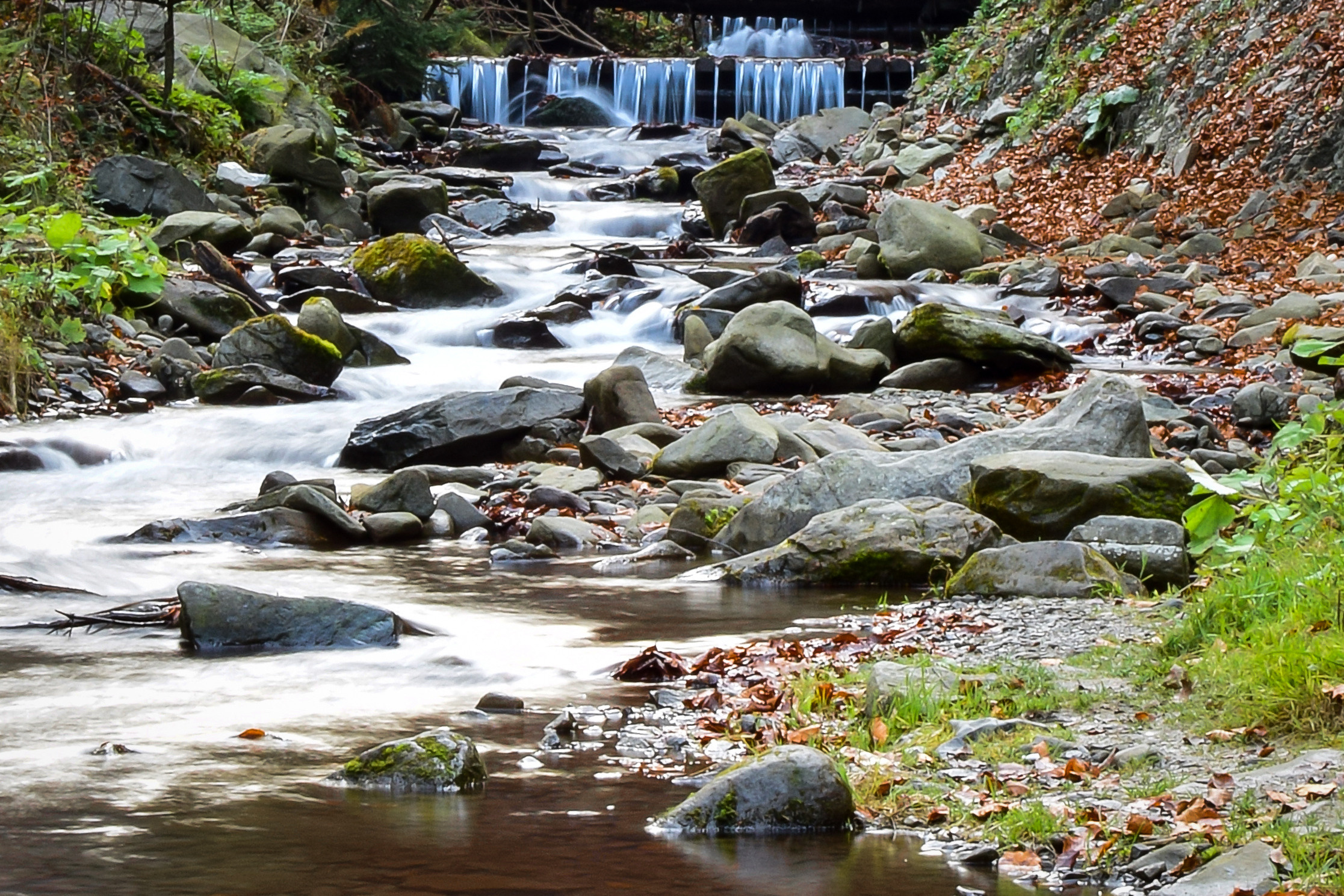 Природа. Семейный и свадебный фотограф в Донецке Донская Анастасия