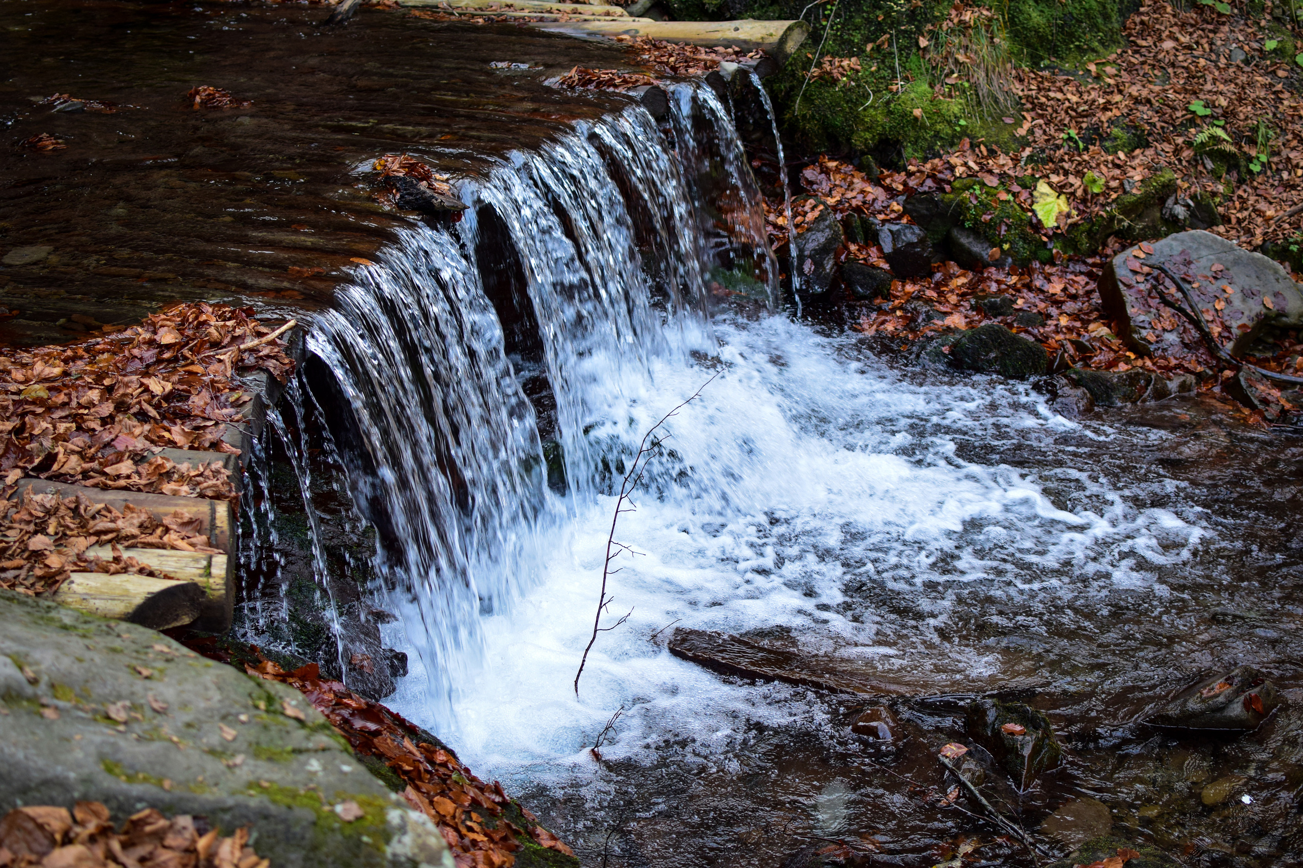Природа. Семейный и свадебный фотограф в Донецке Донская Анастасия