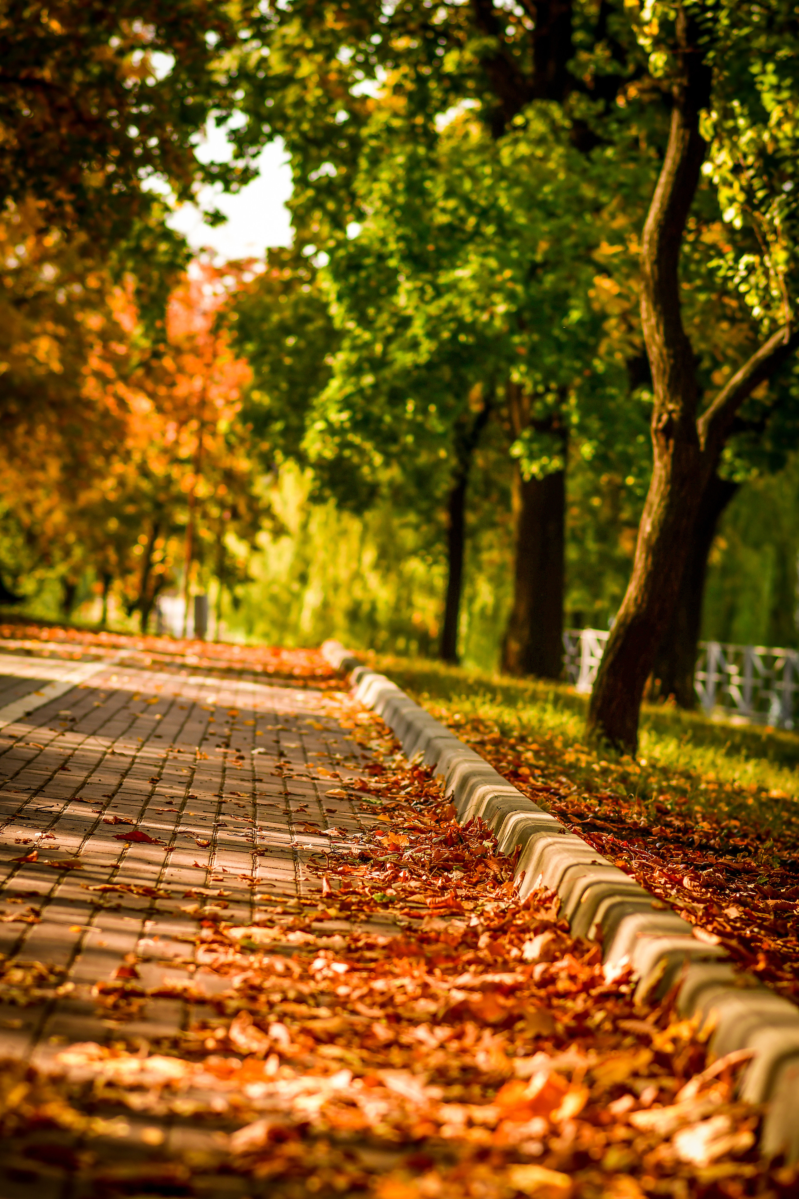 Природа. Семейный и свадебный фотограф в Донецке Донская Анастасия