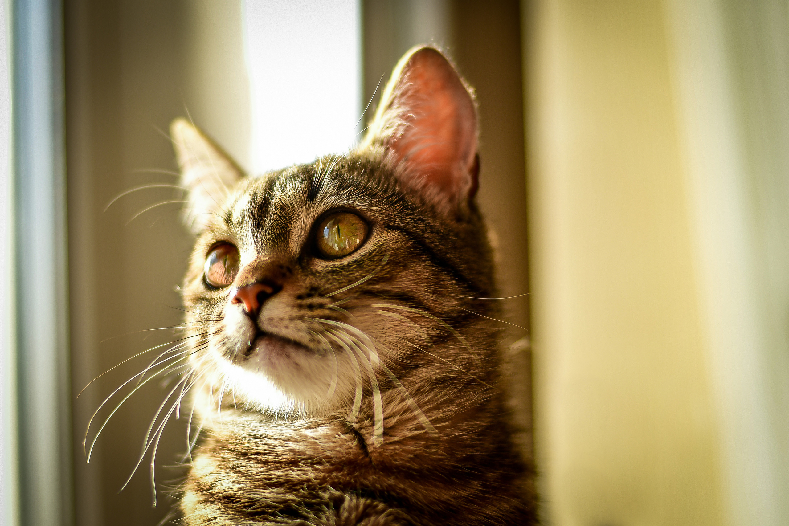 Природа. Семейный и свадебный фотограф в Донецке Донская Анастасия