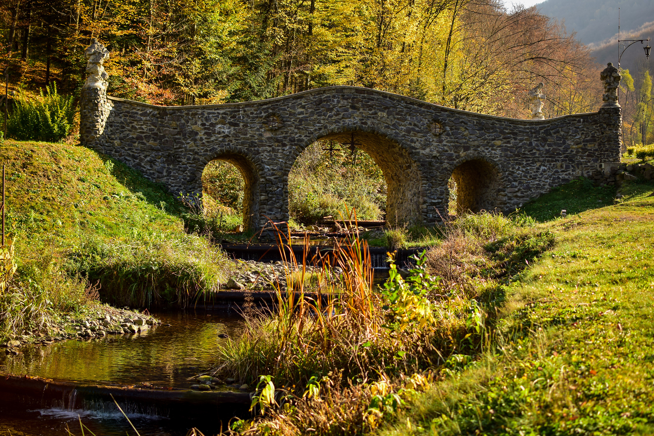 Природа. Семейный и свадебный фотограф в Донецке Донская Анастасия