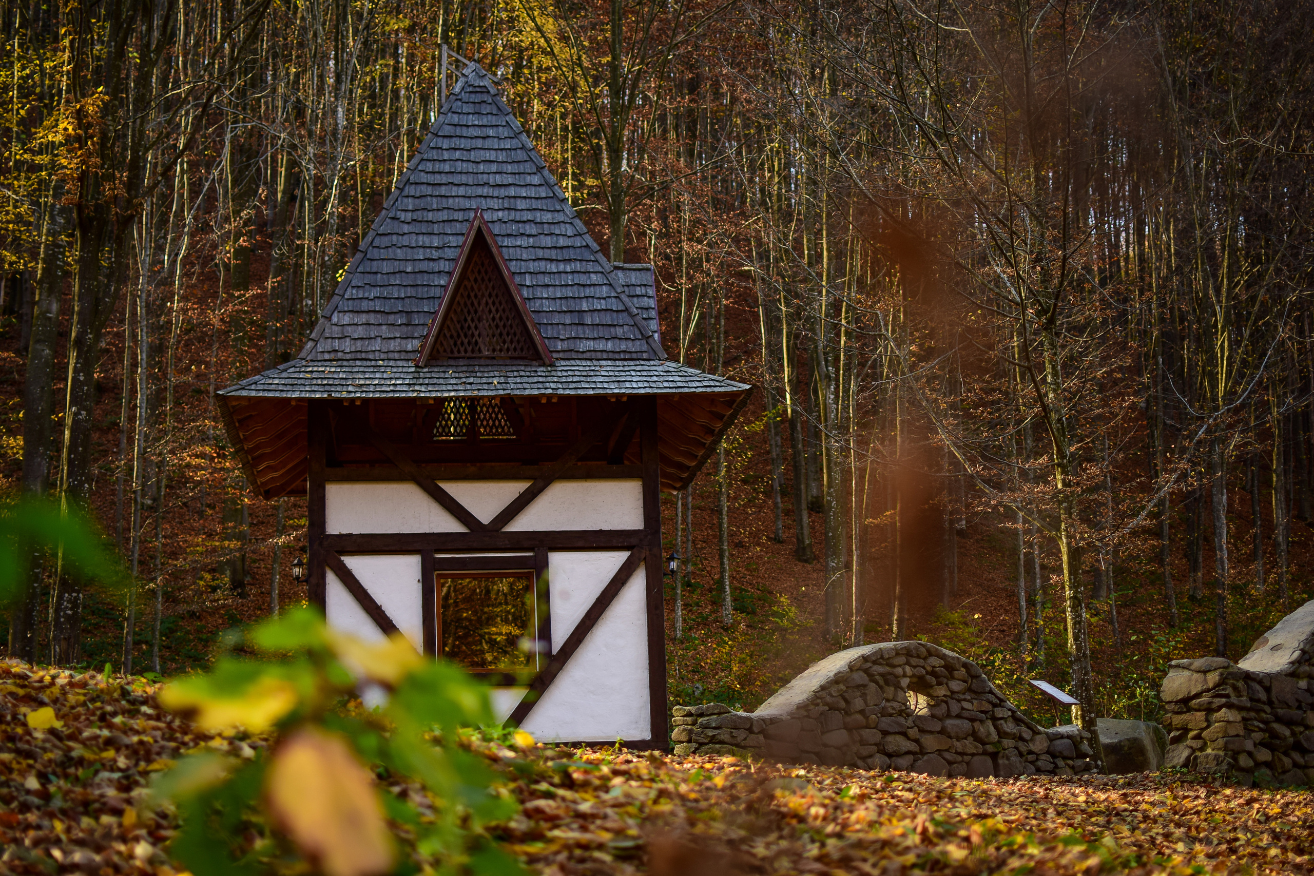 Природа. Семейный и свадебный фотограф в Донецке Донская Анастасия