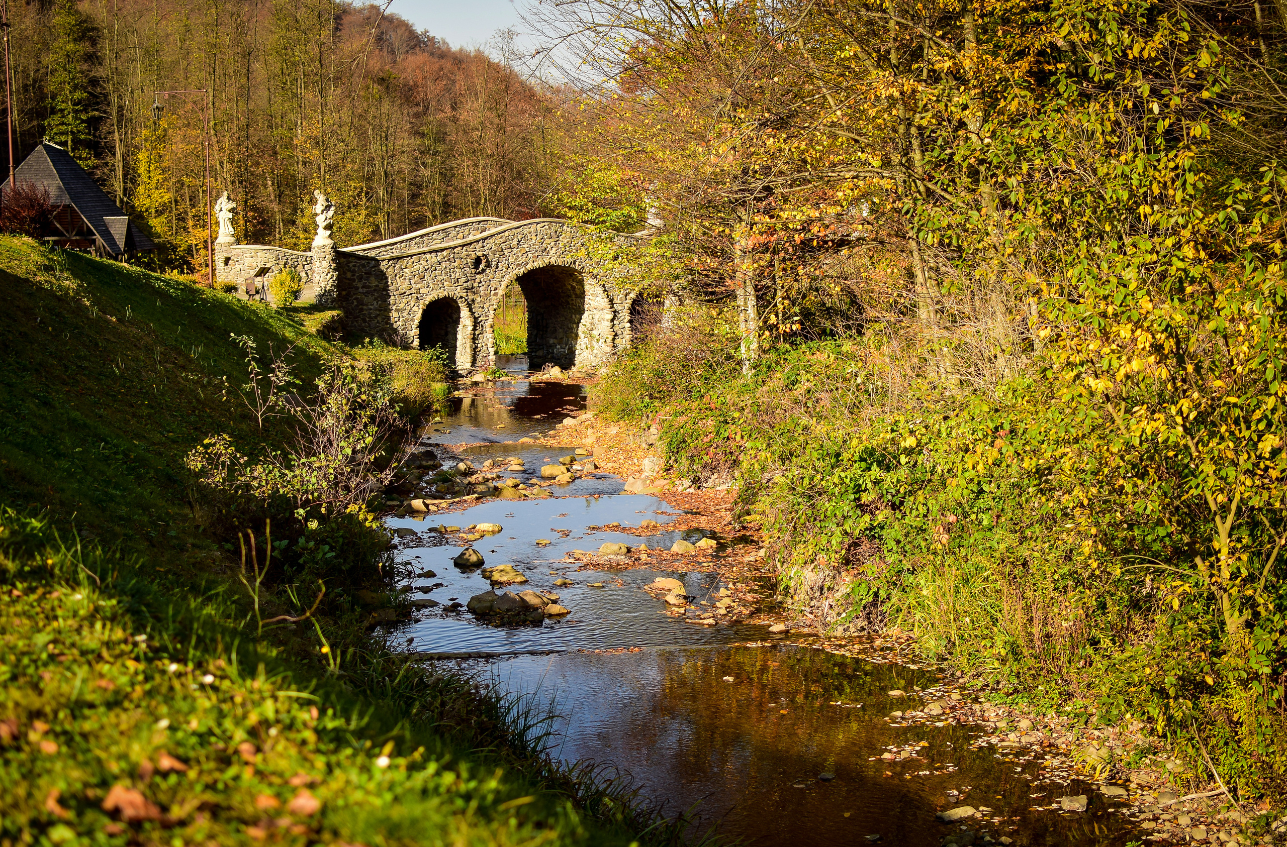 Природа. Семейный и свадебный фотограф в Донецке Донская Анастасия