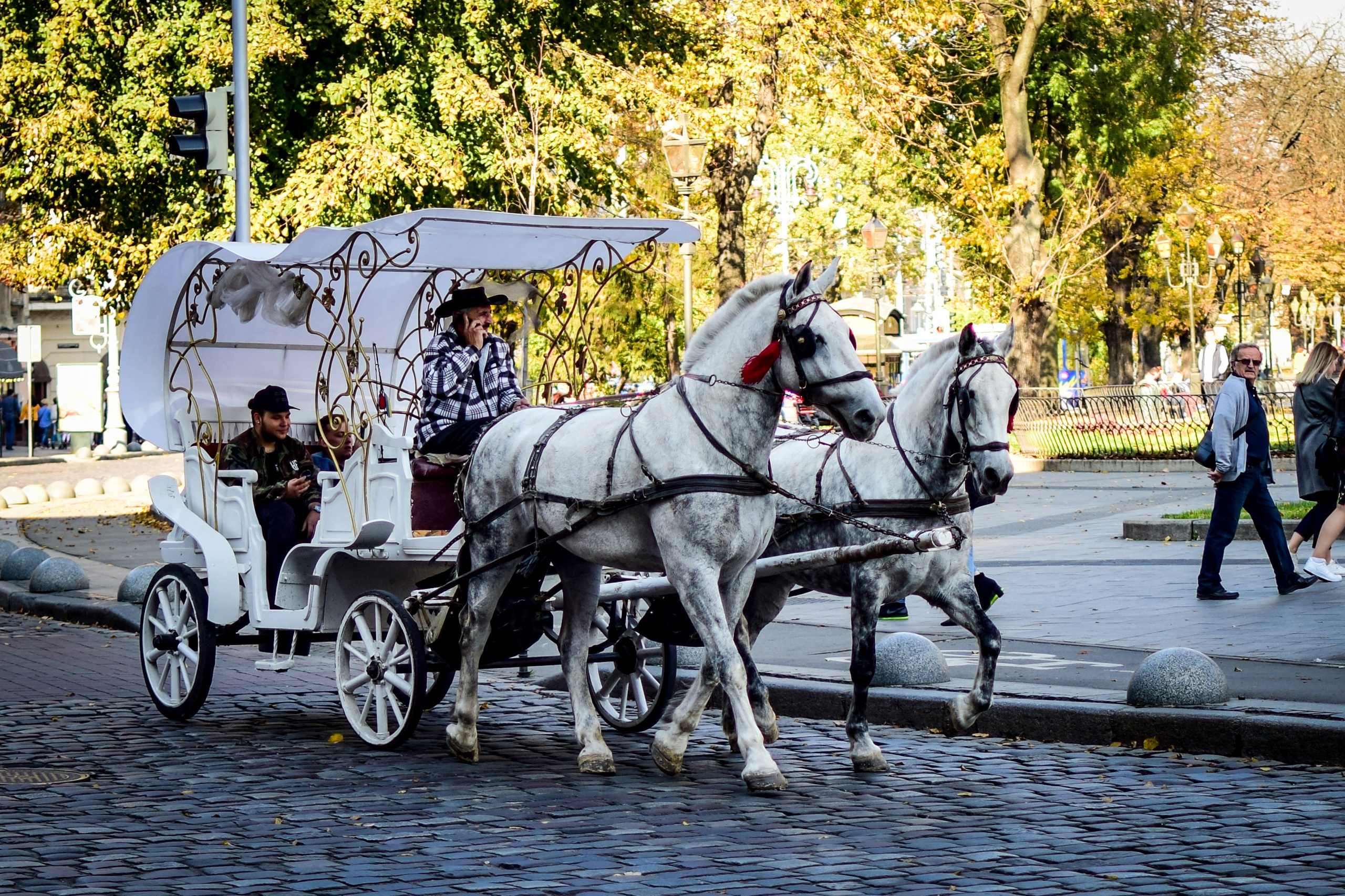 Природа. Семейный и свадебный фотограф в Донецке Донская Анастасия