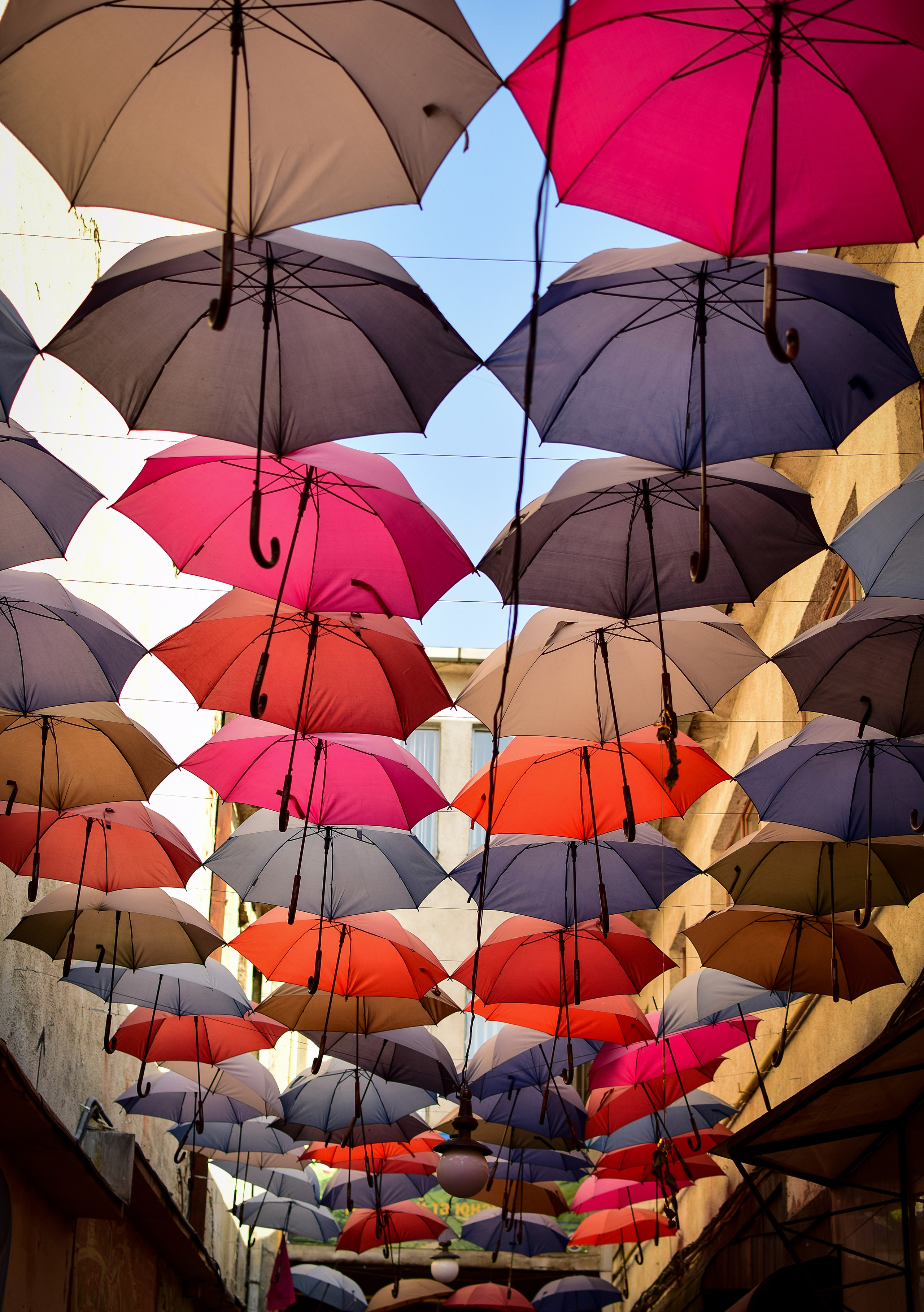 Природа. Семейный и свадебный фотограф в Донецке Донская Анастасия