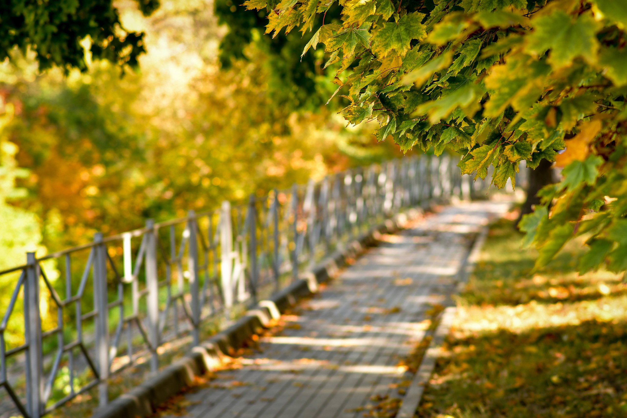 Природа. Семейный и свадебный фотограф в Донецке Донская Анастасия