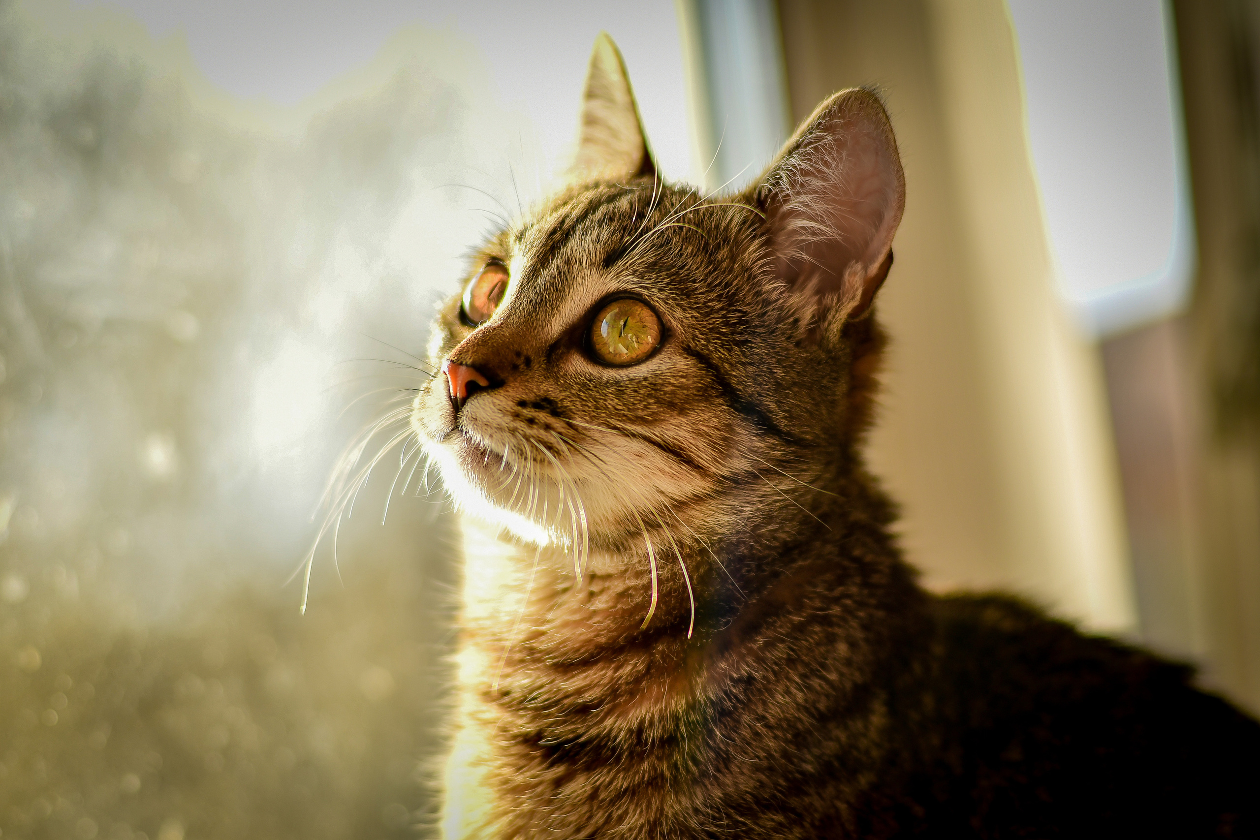 Природа. Семейный и свадебный фотограф в Донецке Донская Анастасия