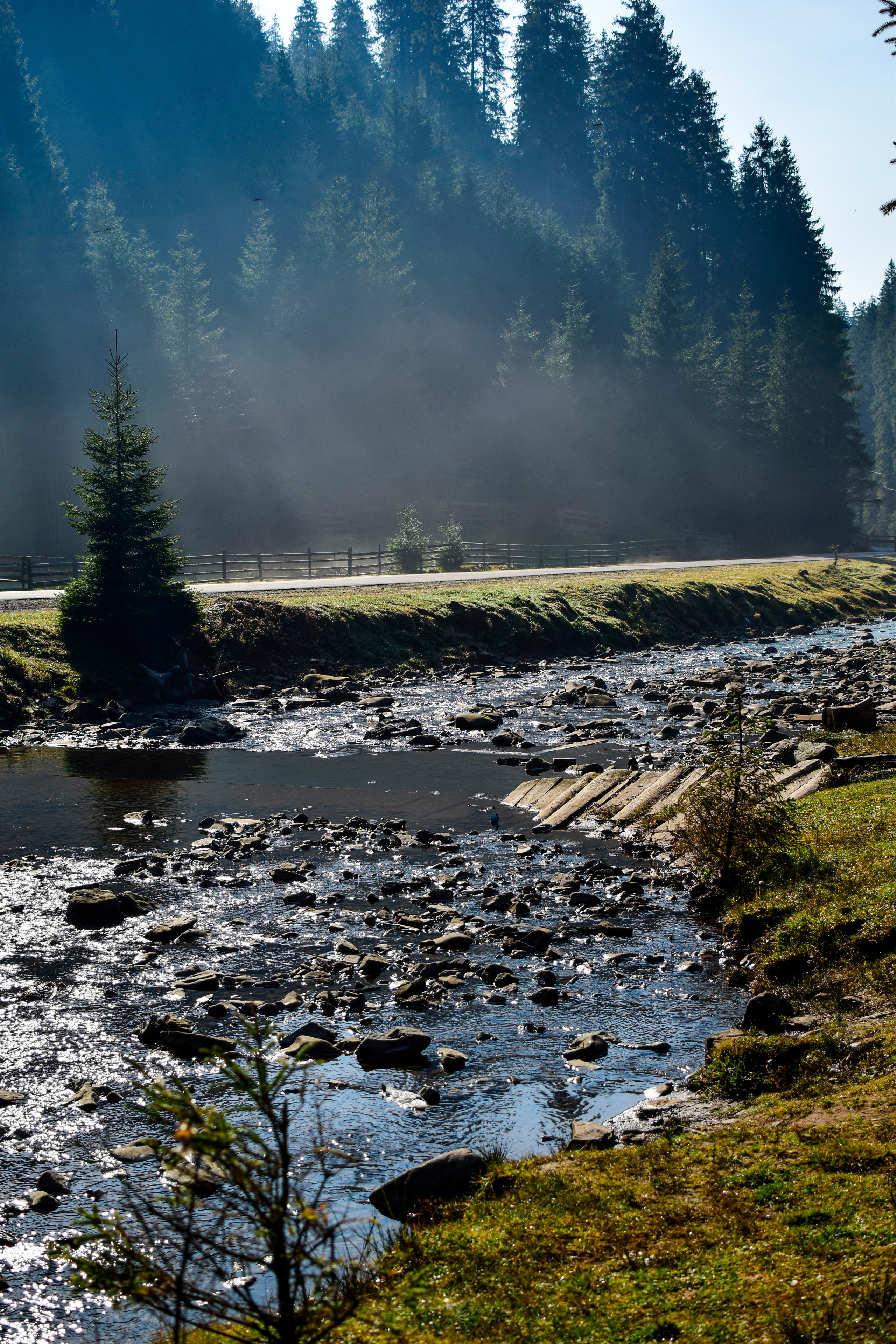 Природа. Семейный и свадебный фотограф в Донецке Донская Анастасия