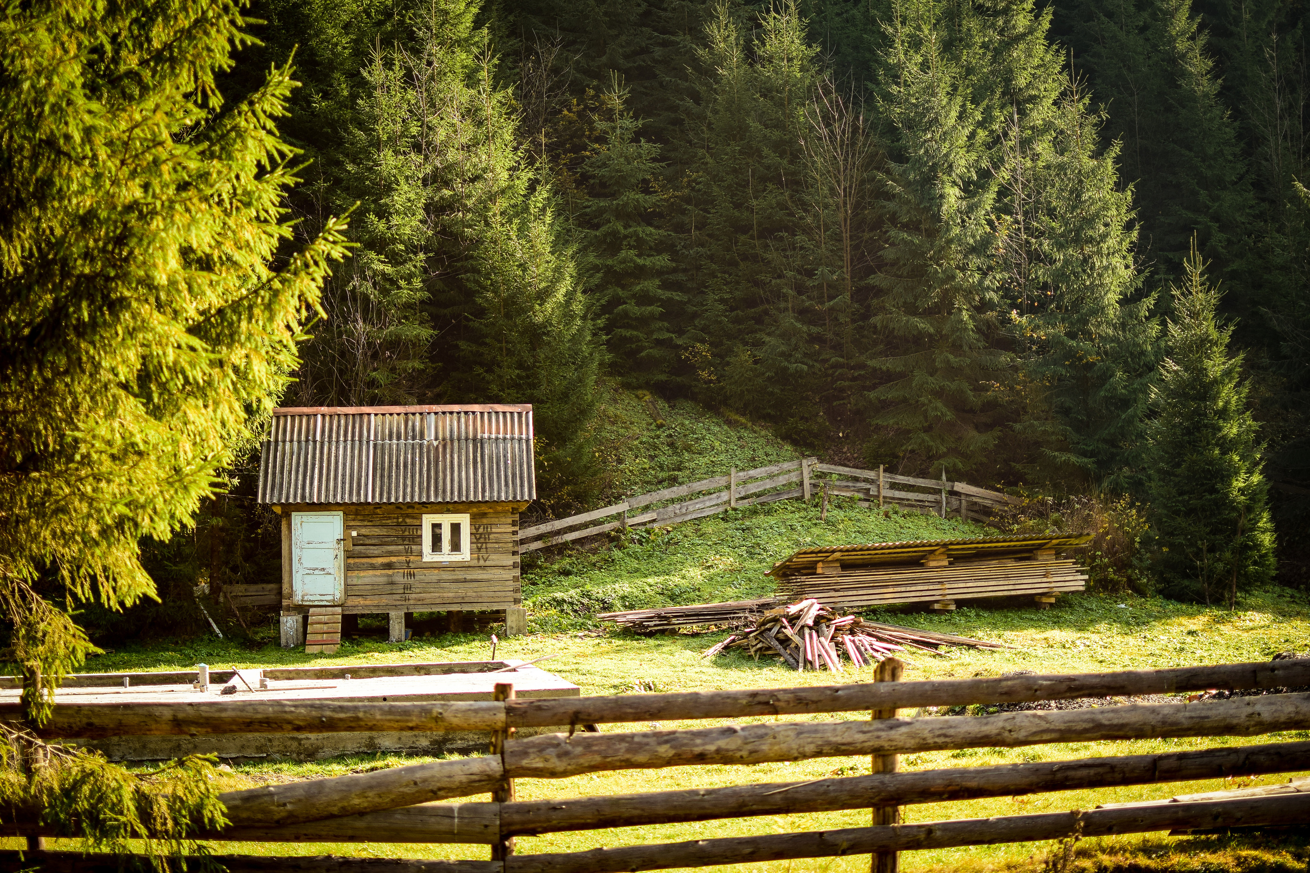 Природа. Семейный и свадебный фотограф в Донецке Донская Анастасия