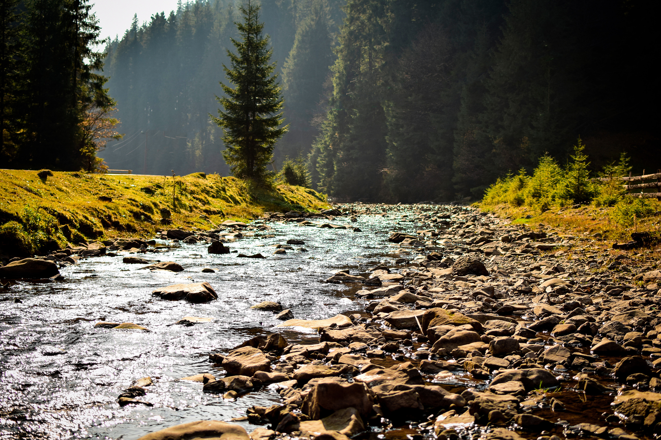Природа. Семейный и свадебный фотограф в Донецке Донская Анастасия