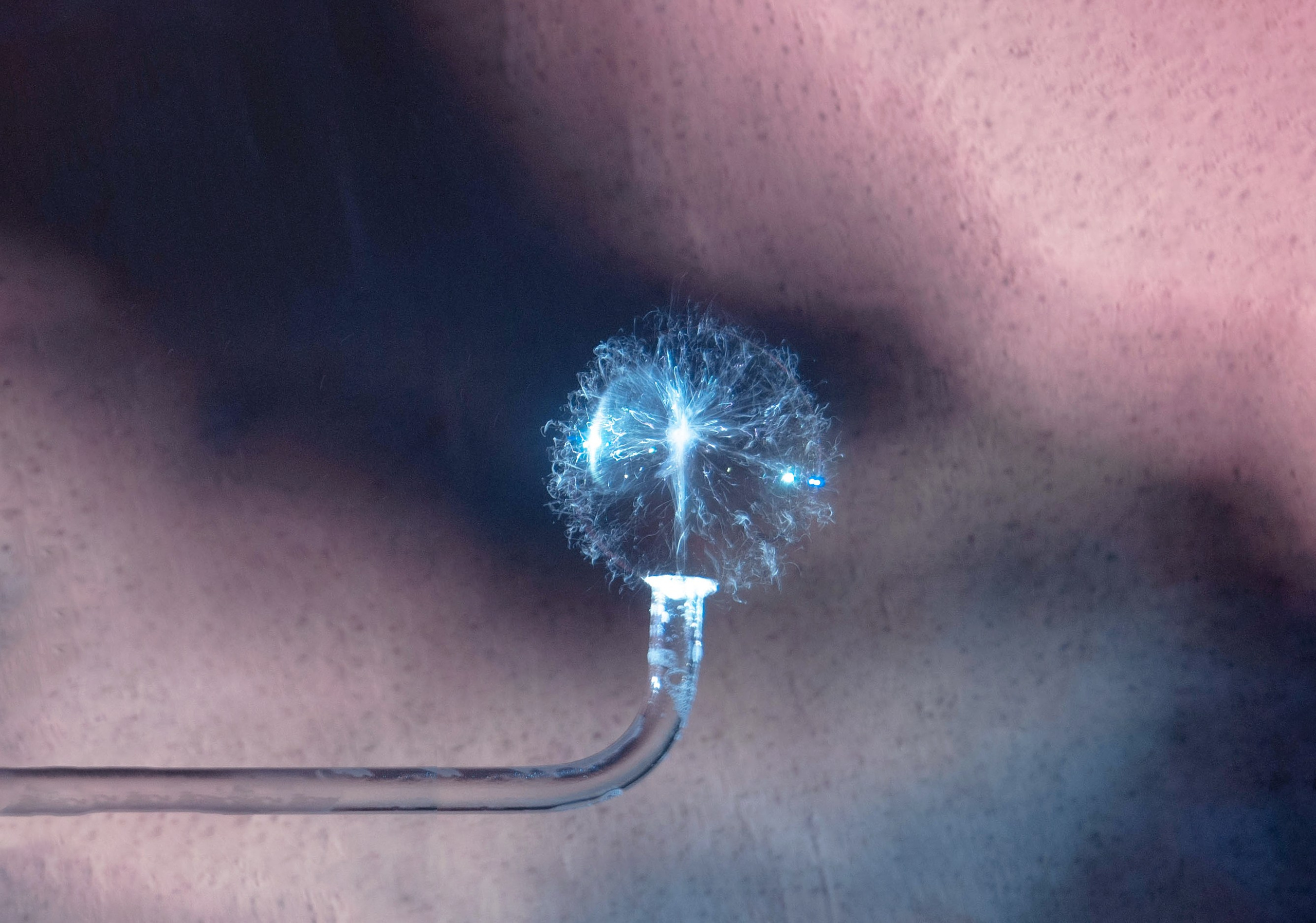 Творческие фотографии. Портретный фотограф в республике Алтай Юлия Шевченко