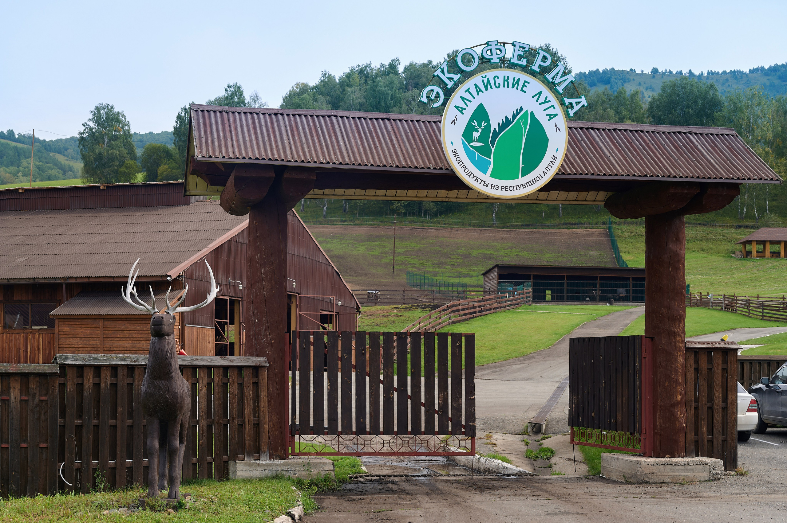 ЛДПР — честный план. Фотограф Опыт Качество Скорость Горный Алтай Барнаул