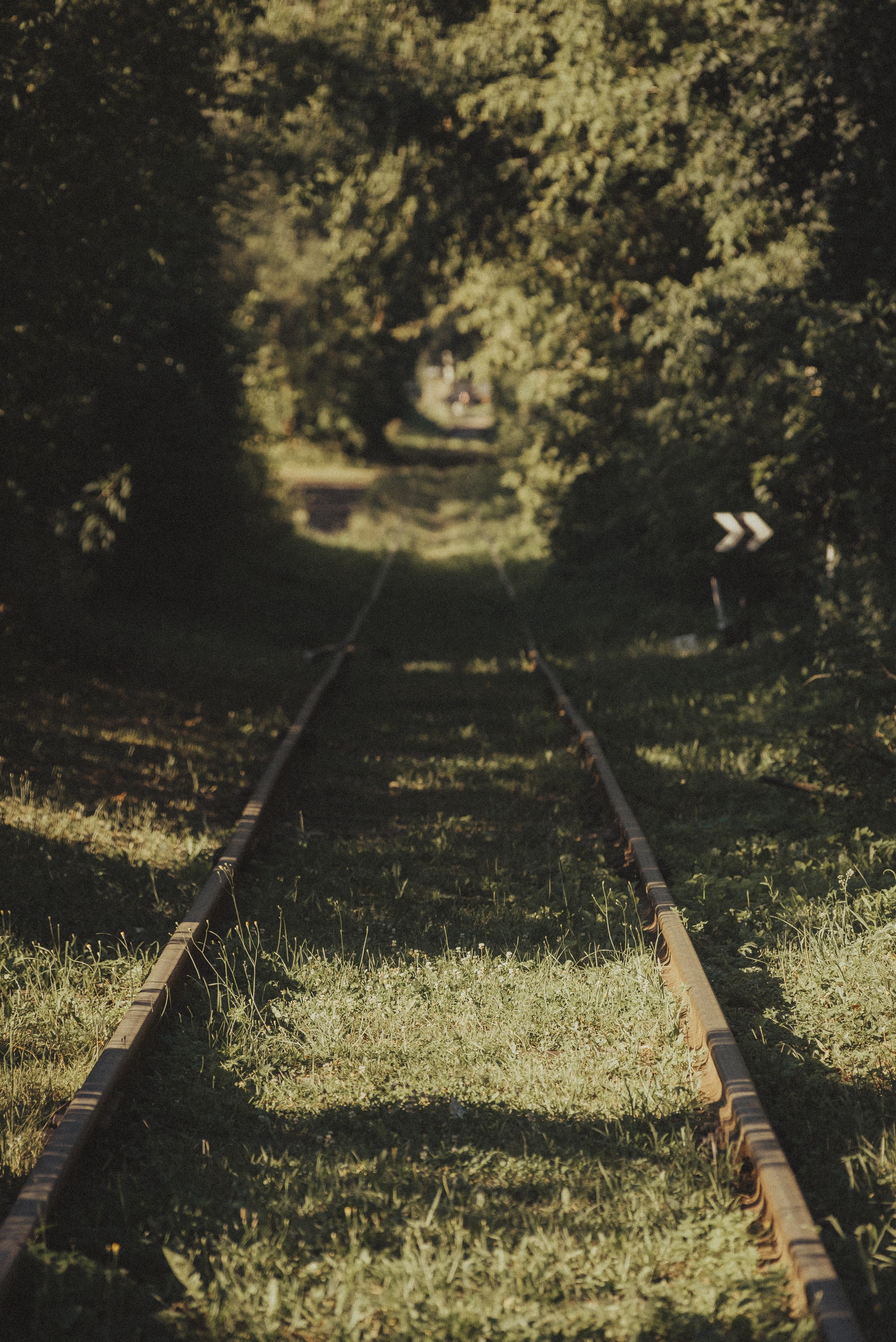 Проект #улицыгорода. Ярославль, улица Большая Фёдоровская. Документальный фотограф Илья Тихановский