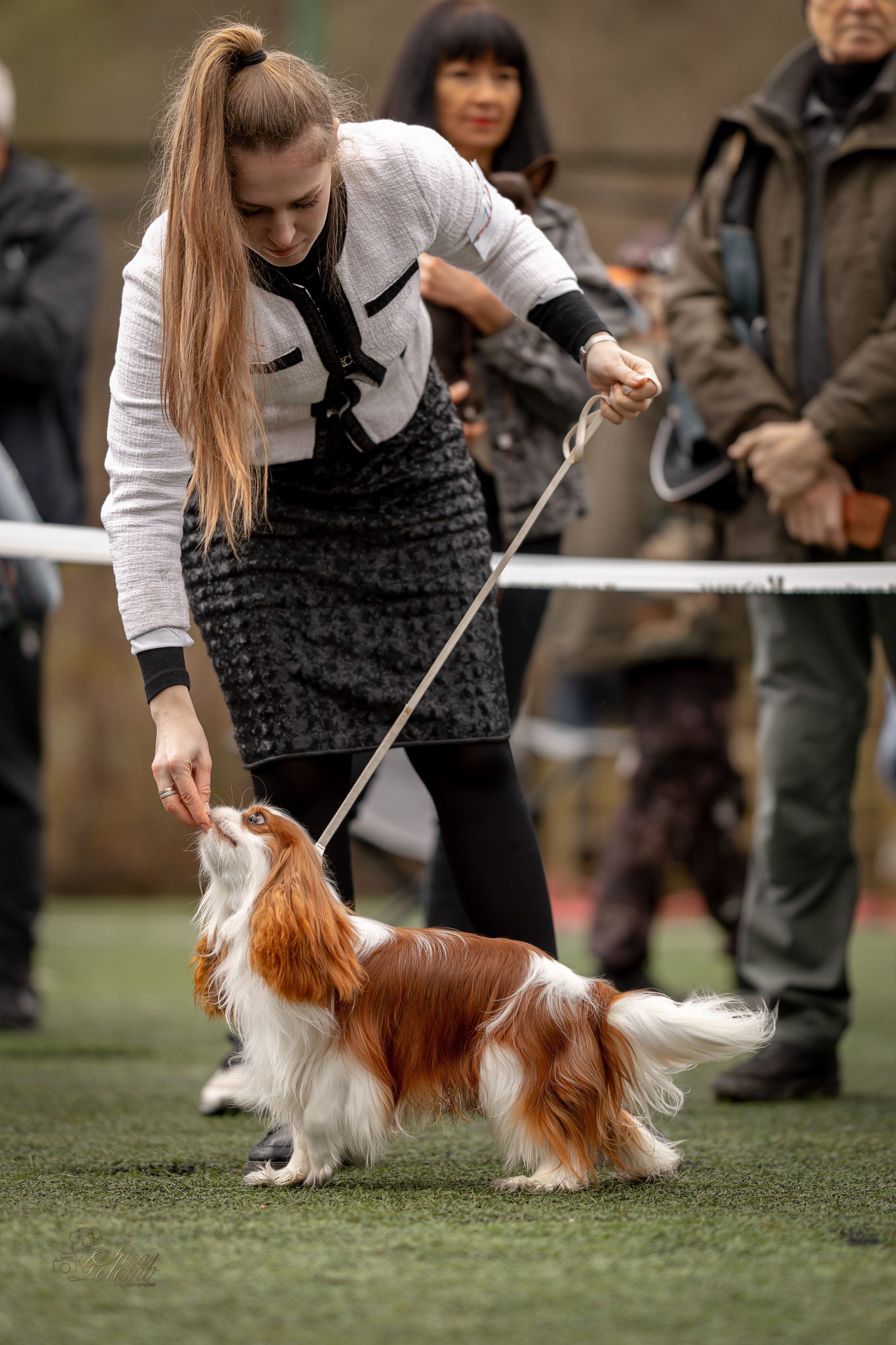 Выставка 17.12.23. Ирина Голомб|Фотограф-анималист в  Сочи и Калининграде