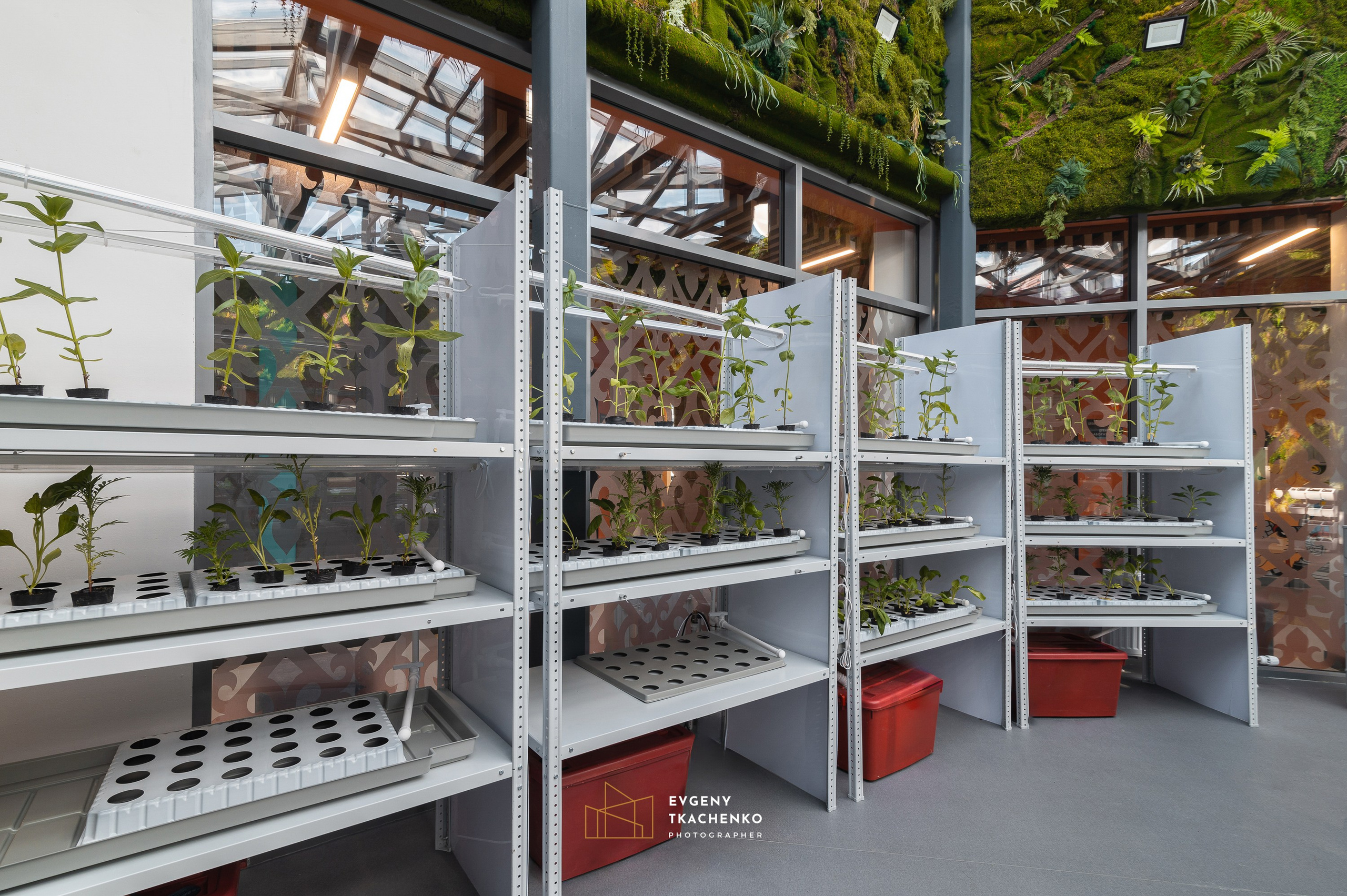 Дворец творчества Kausar. Архитектурный и интерьерный фотограф в Казахстане