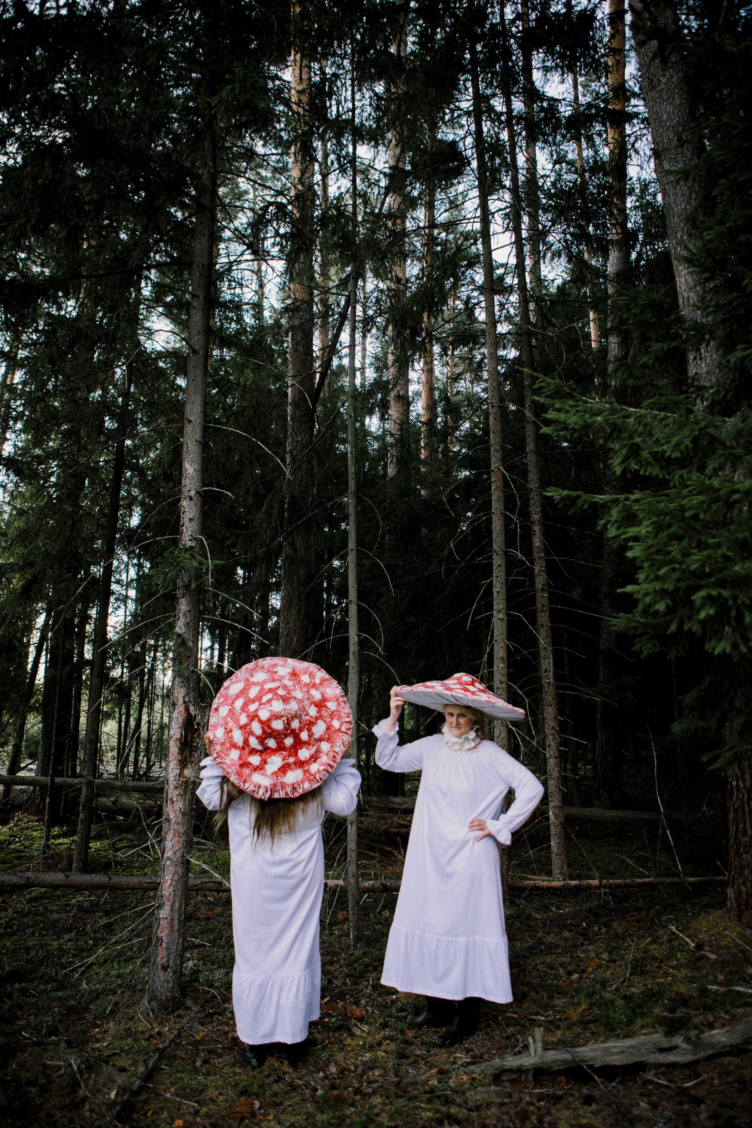 Грибы. Ольга Пилант. АРТ, бэкстейдж, свадебная и семейная фотография, городской портрет, интерьерная фотография