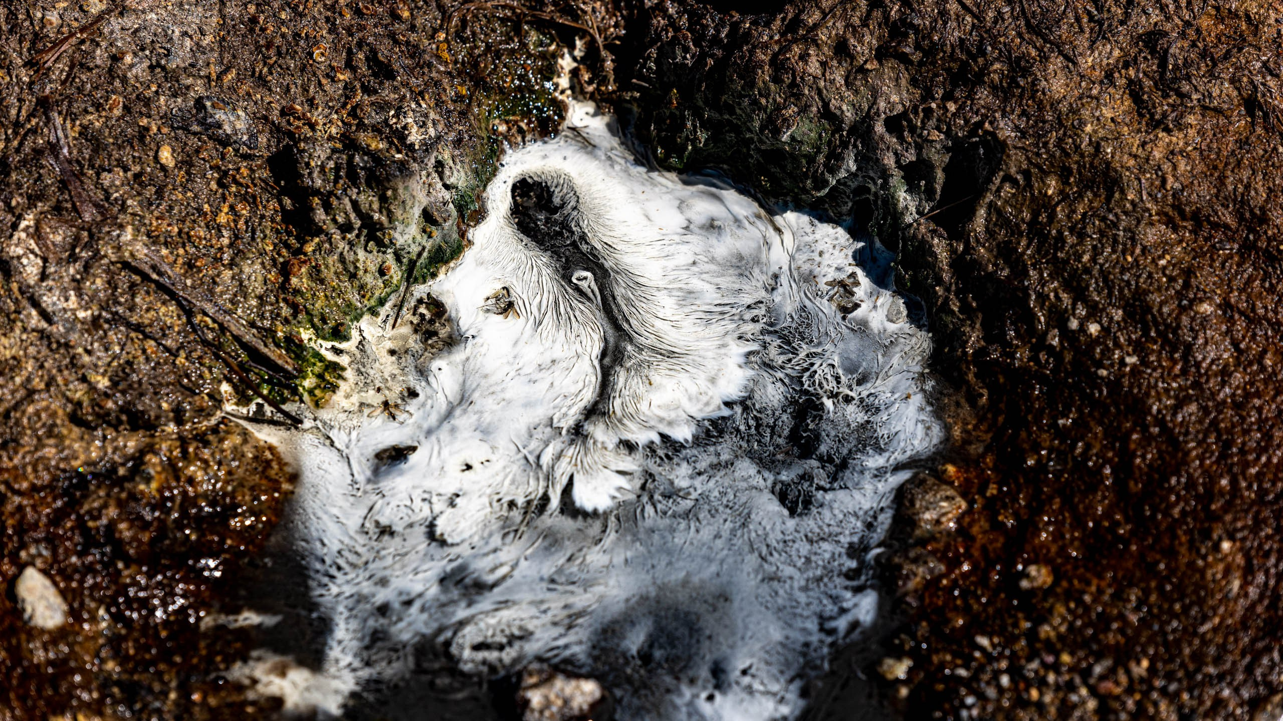 2023 07 Камчатка. Фотографии