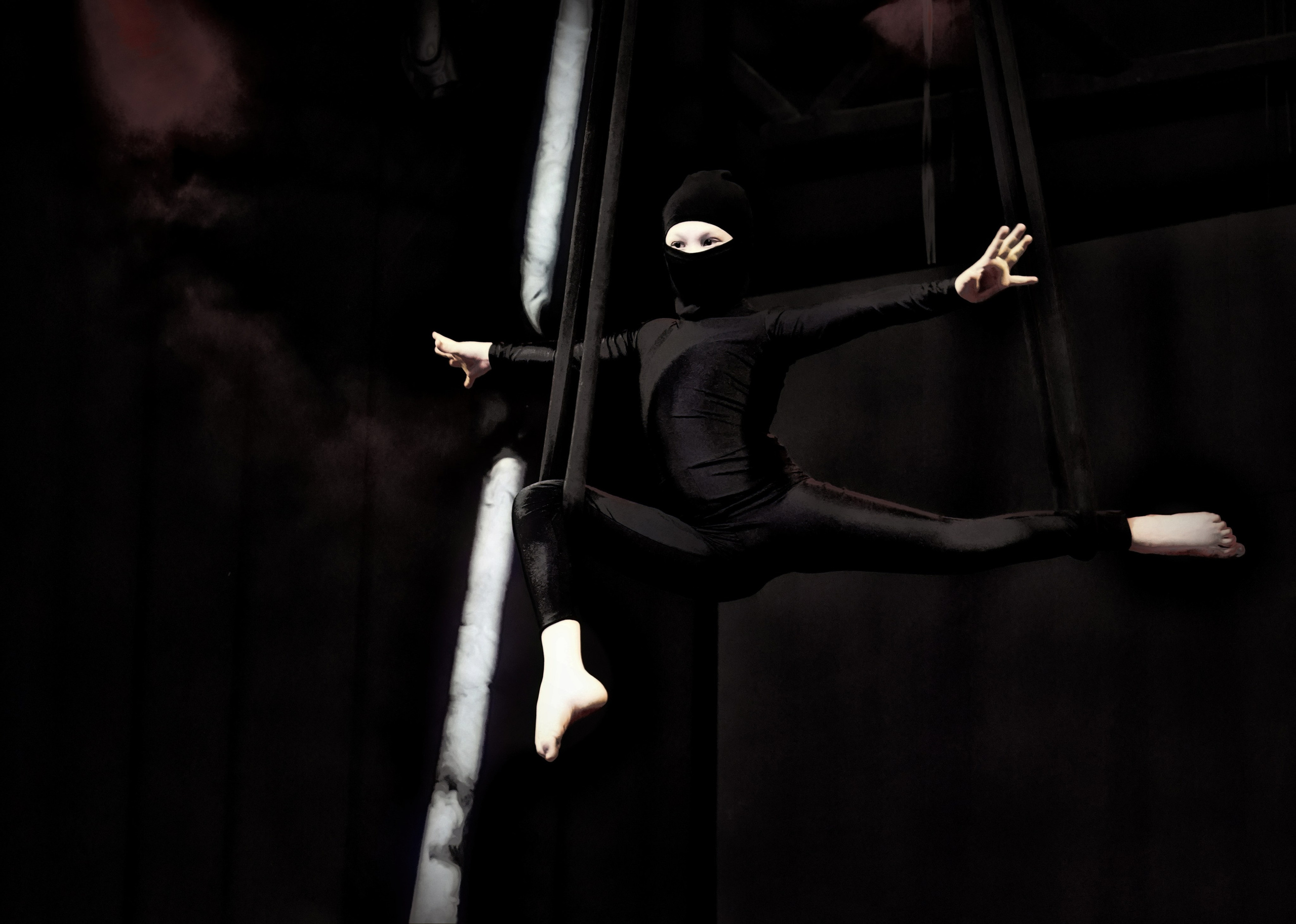 Fenix Fest Фестиваль по воздушной гимнастике. Вадим Шейдин