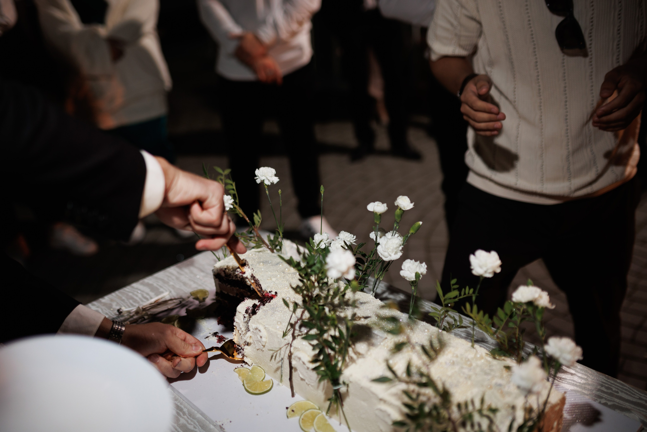 Сентябрь 2025, Белый лис, Выкса. Фотограф городских и семейных событий в Нижнем Новгороде Артем Карпухин