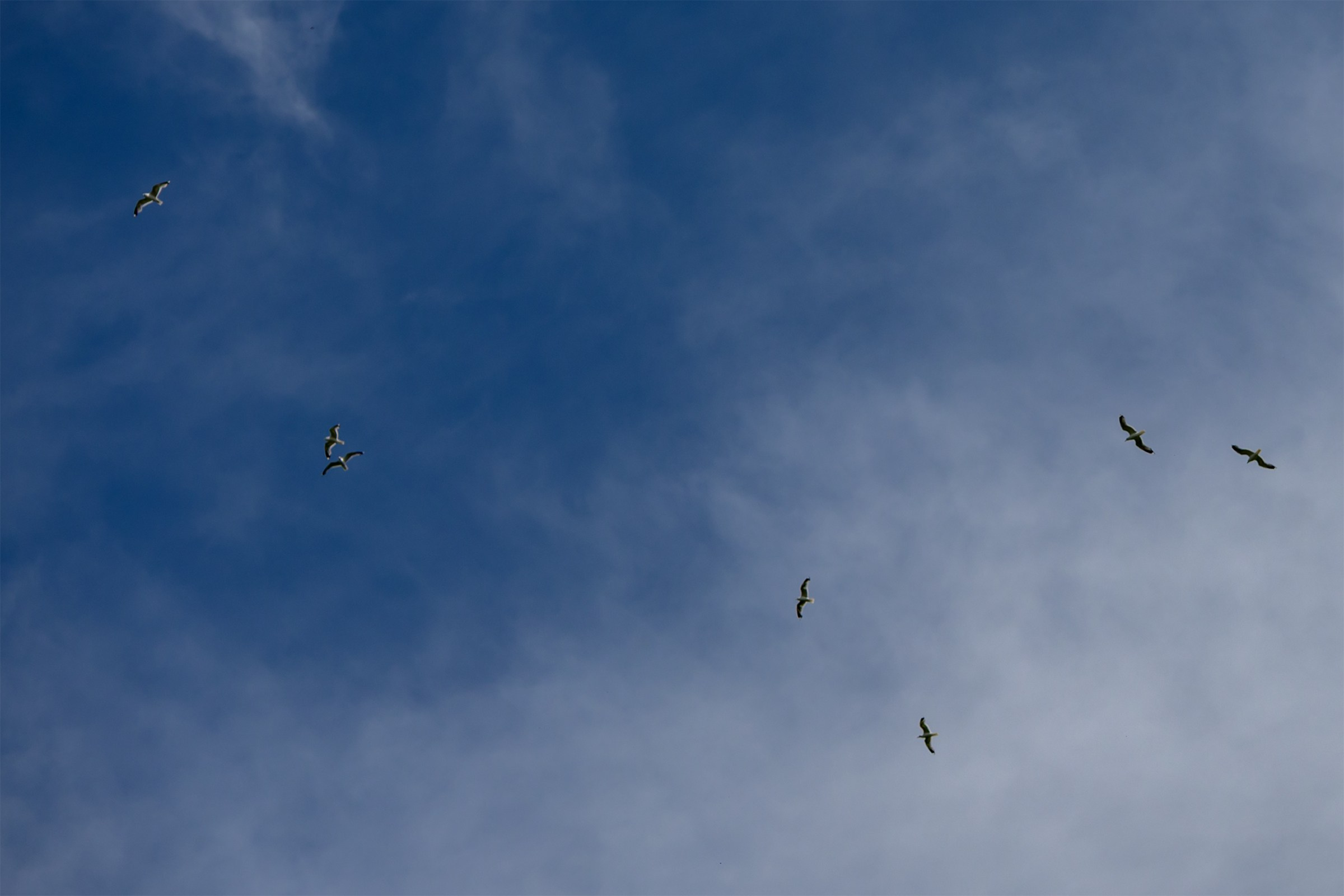 Пейзажики. Фотограф из Боровска в Калужской области