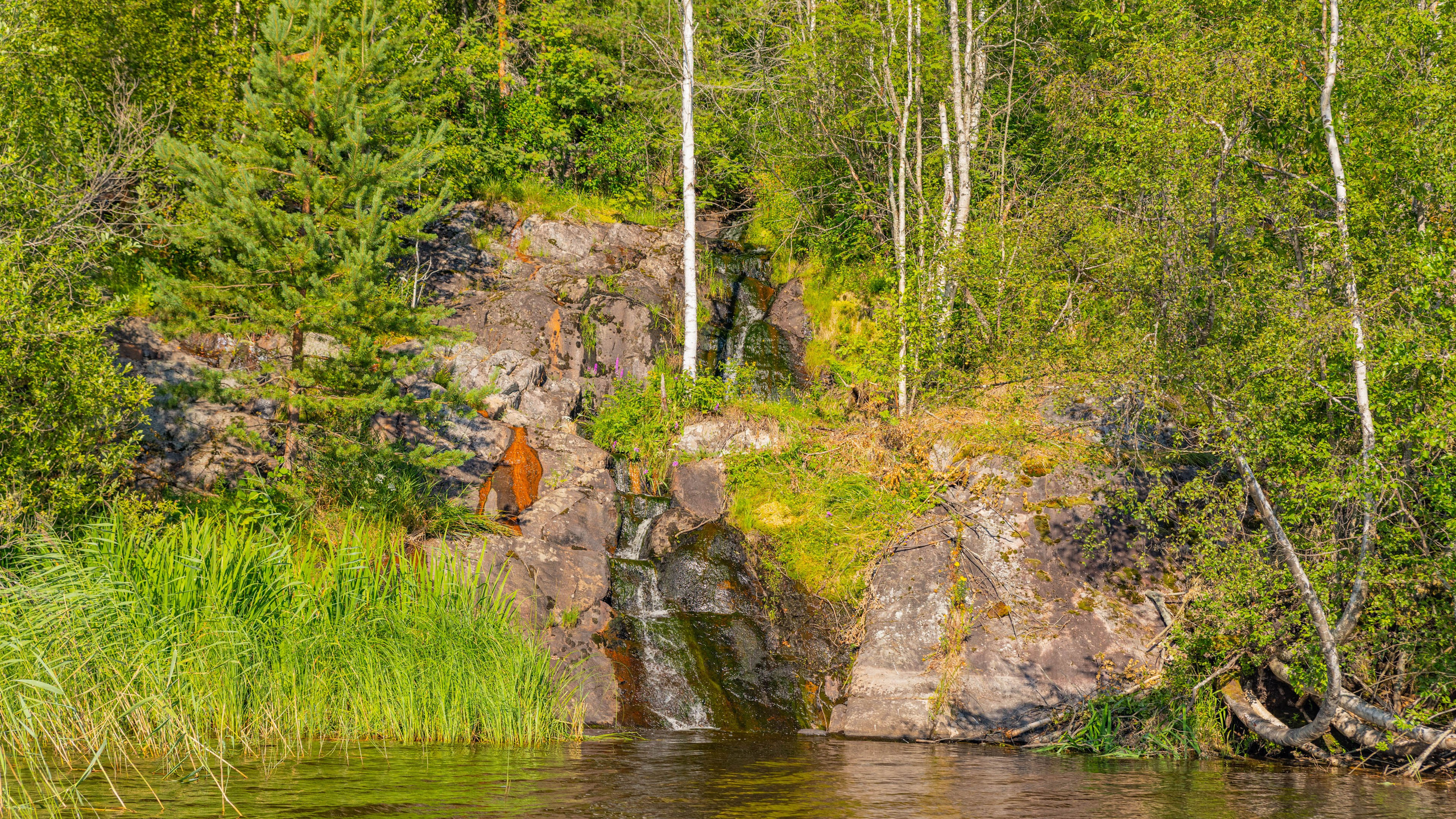 2025 07 Выборг — Сортавала — Великий Новгород — Псков. Фотографии