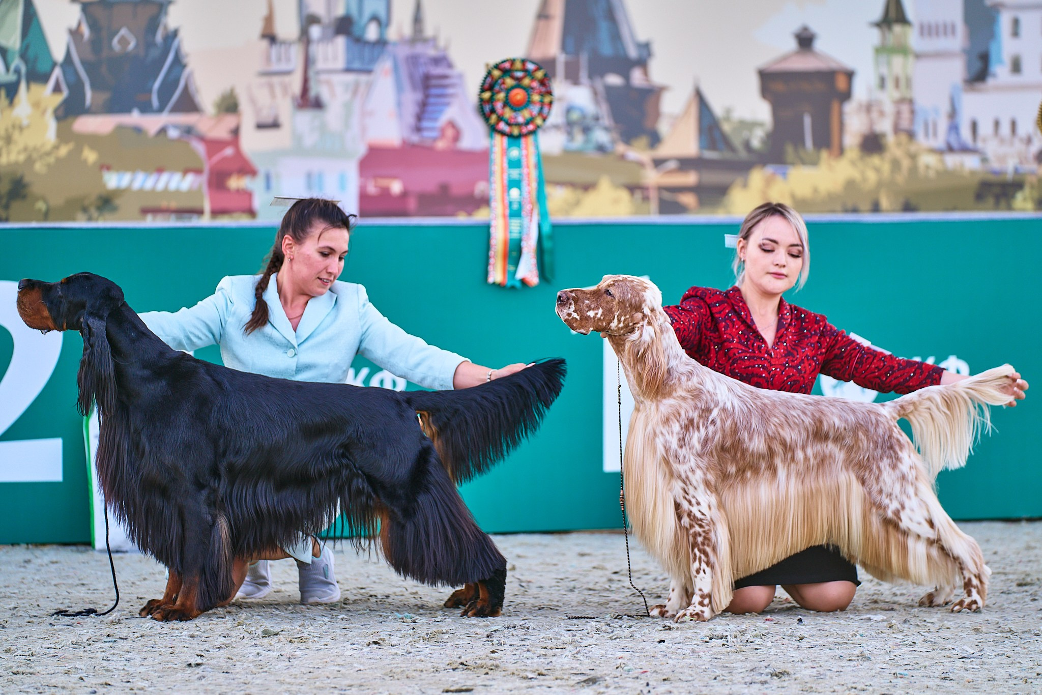 08.06.2024 «РОССИЯ. КУБОК РКФ 2024»