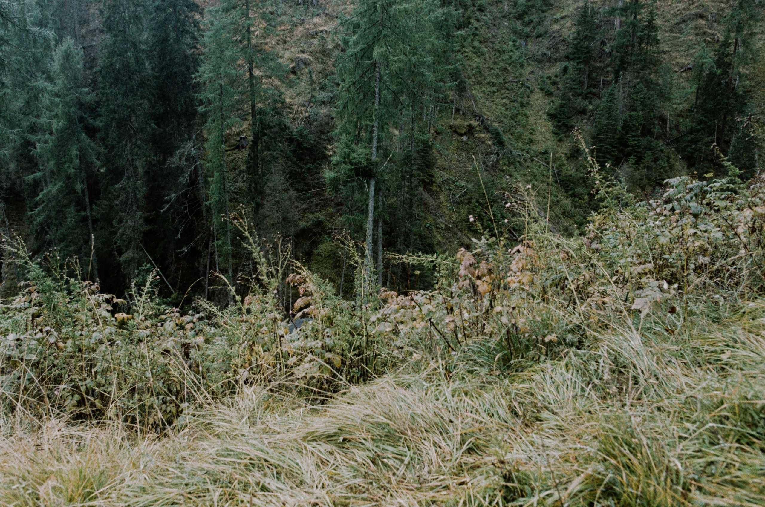 Il dono della vita // italy, dolomites IV. EVER EXPOSED