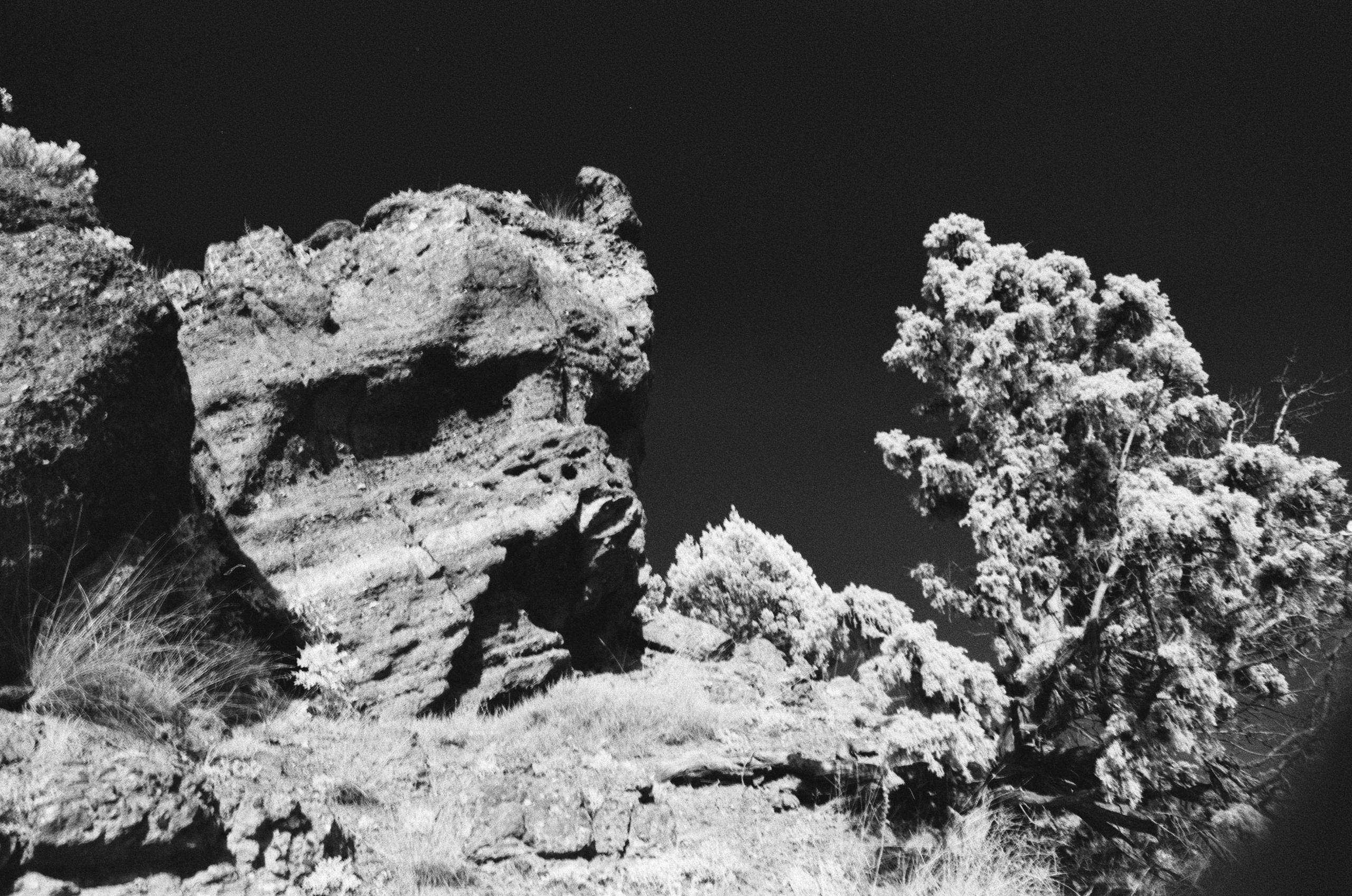 Point of no reply // ukraine, crimea V. EVER EXPOSED