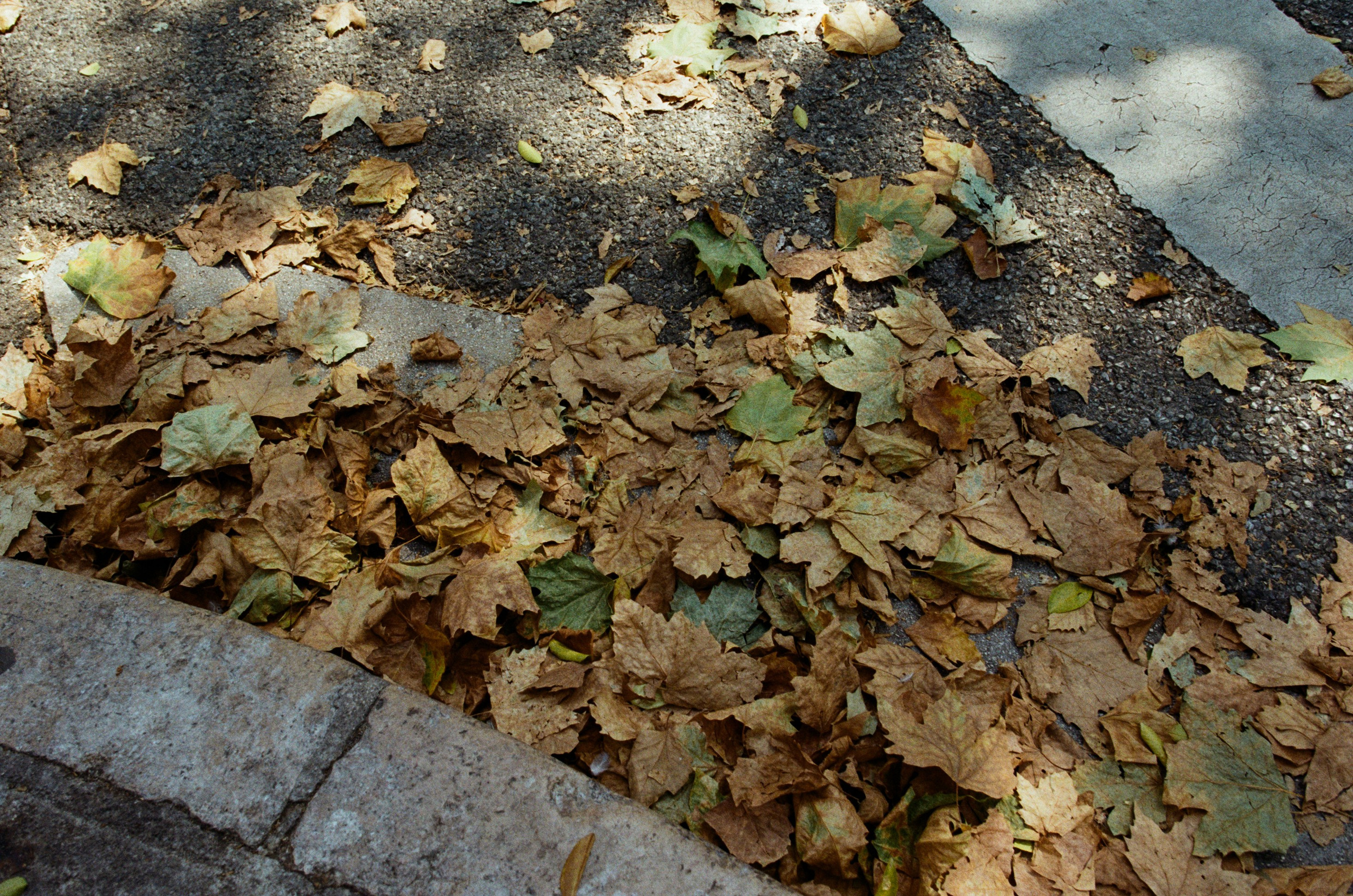 The contract // france, nice. EVER EXPOSED