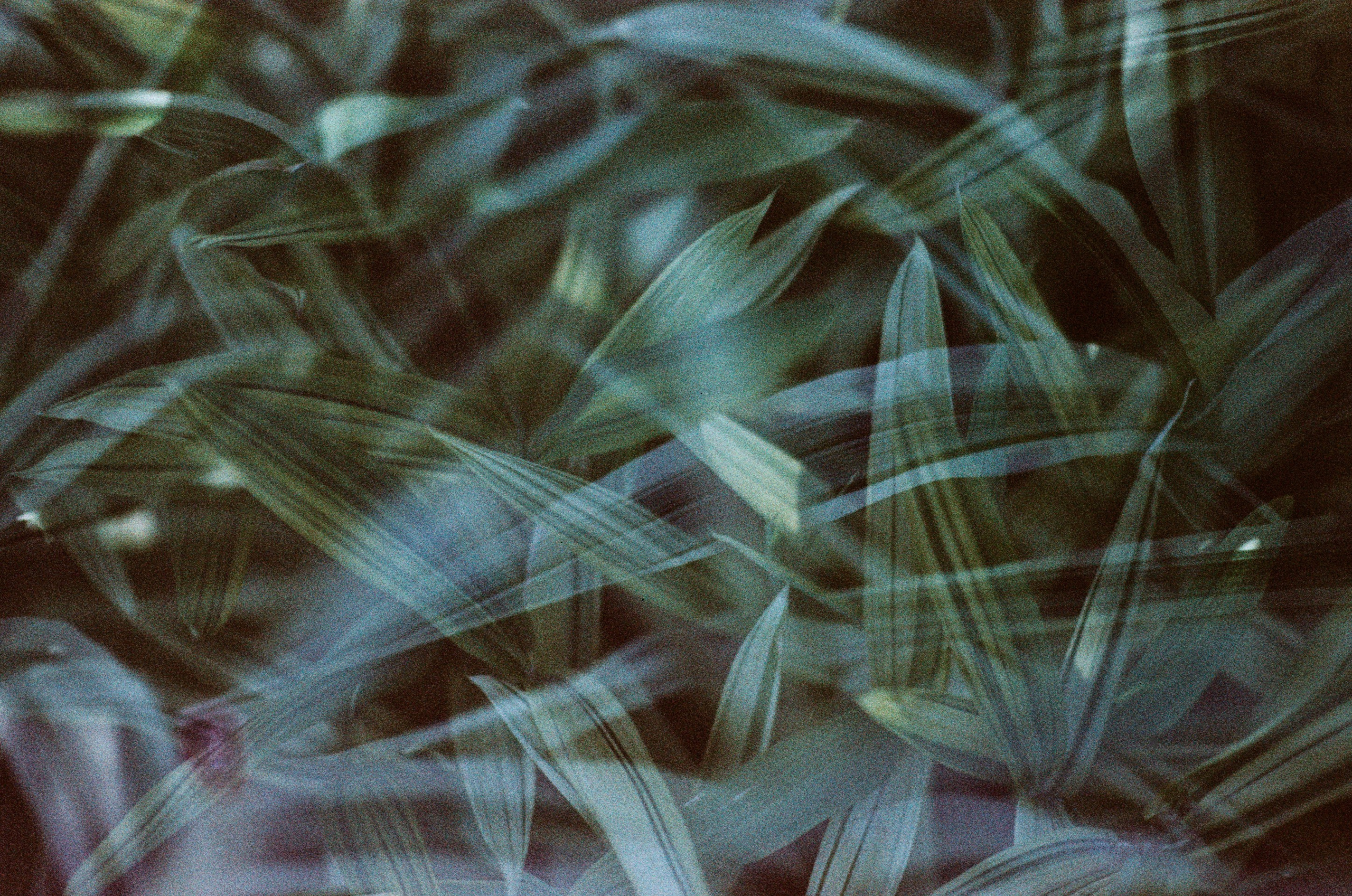 Pain shopping // ukraine, crimea. EVER EXPOSED