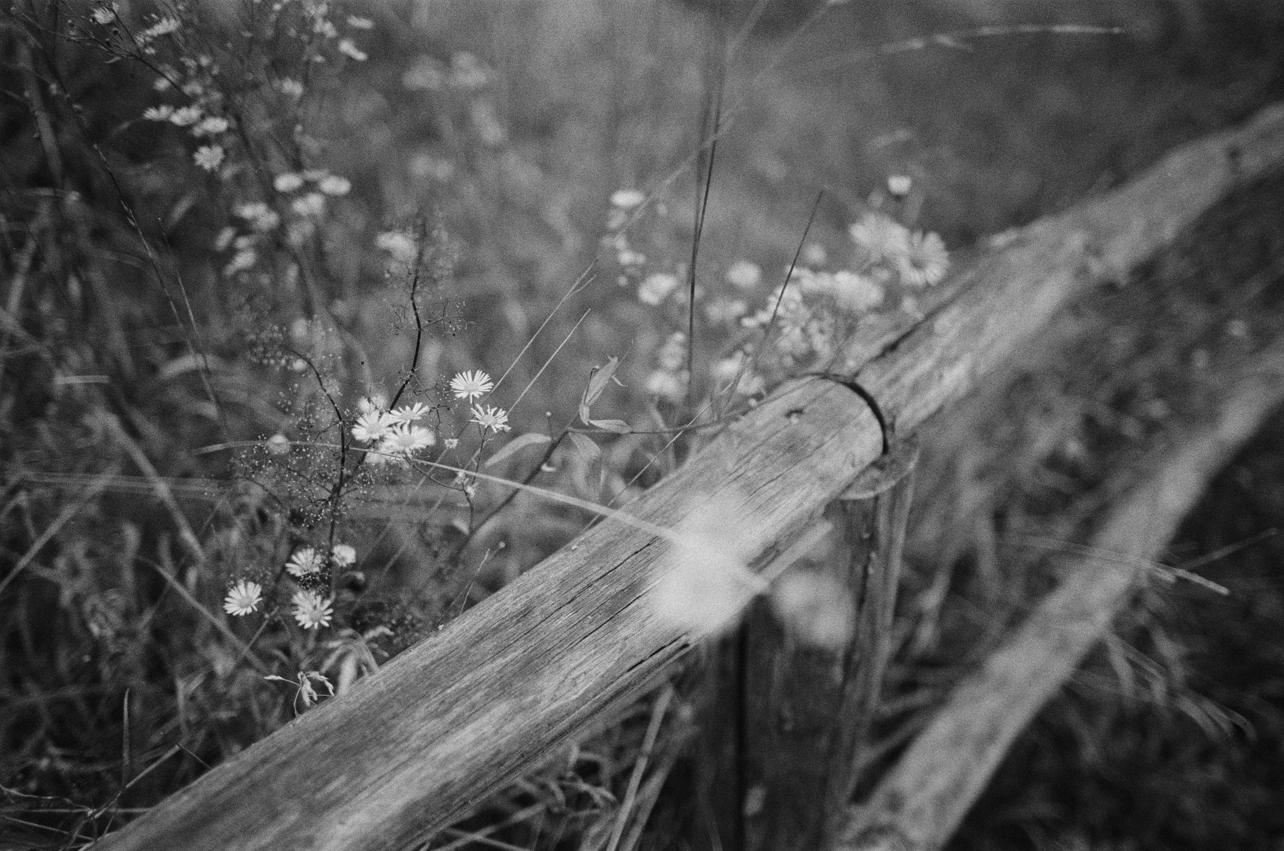 Are you coming // italy, rocca pietore. EVER EXPOSED